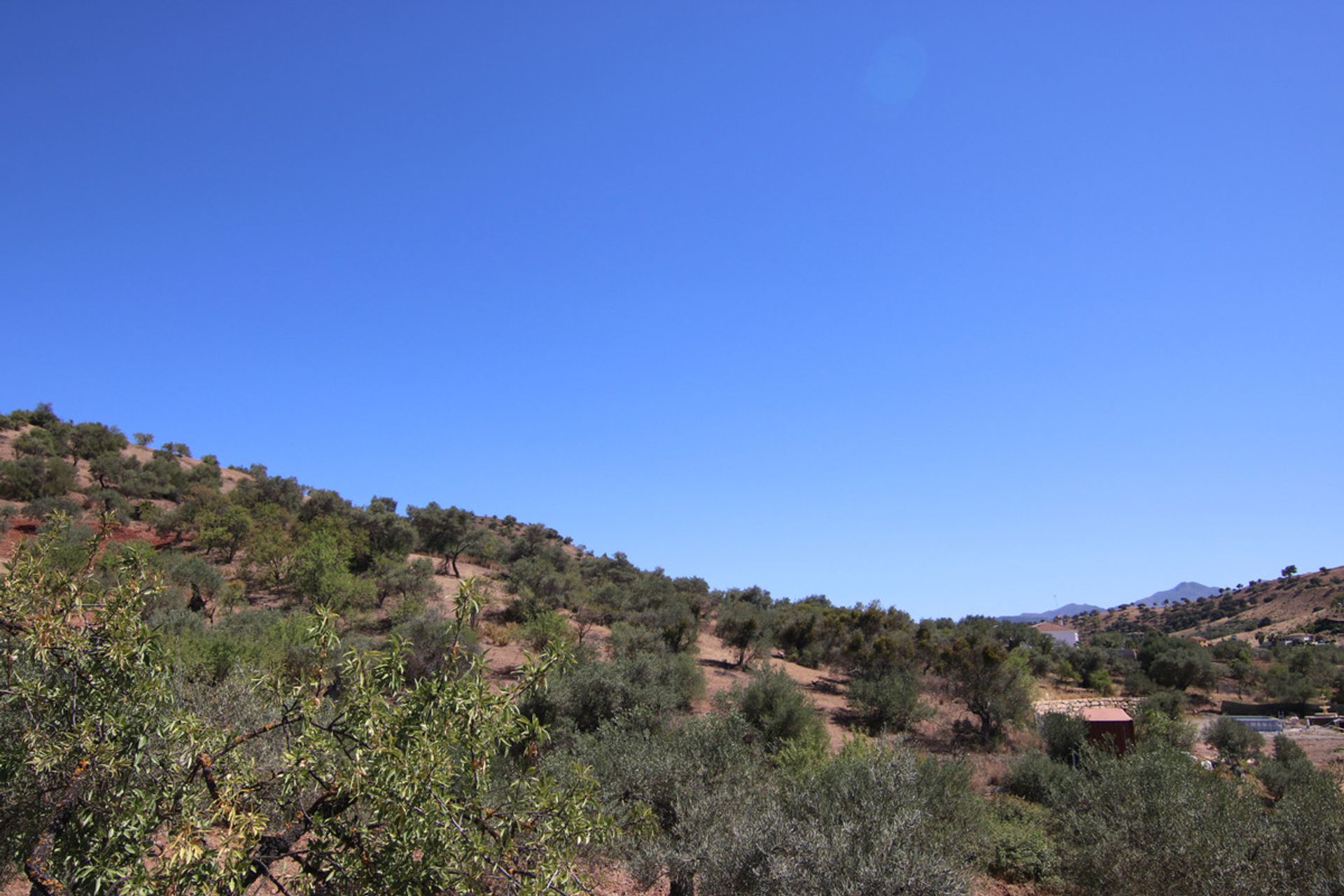 Land im Coín, Andalucía 10717486