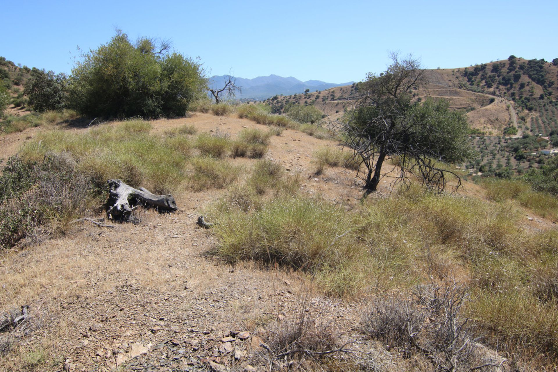 Terra no Coín, Andalucía 10717486