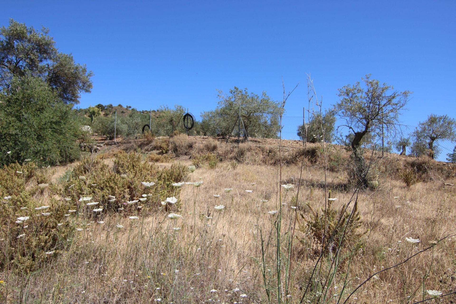 Земля в Coín, Andalucía 10717486