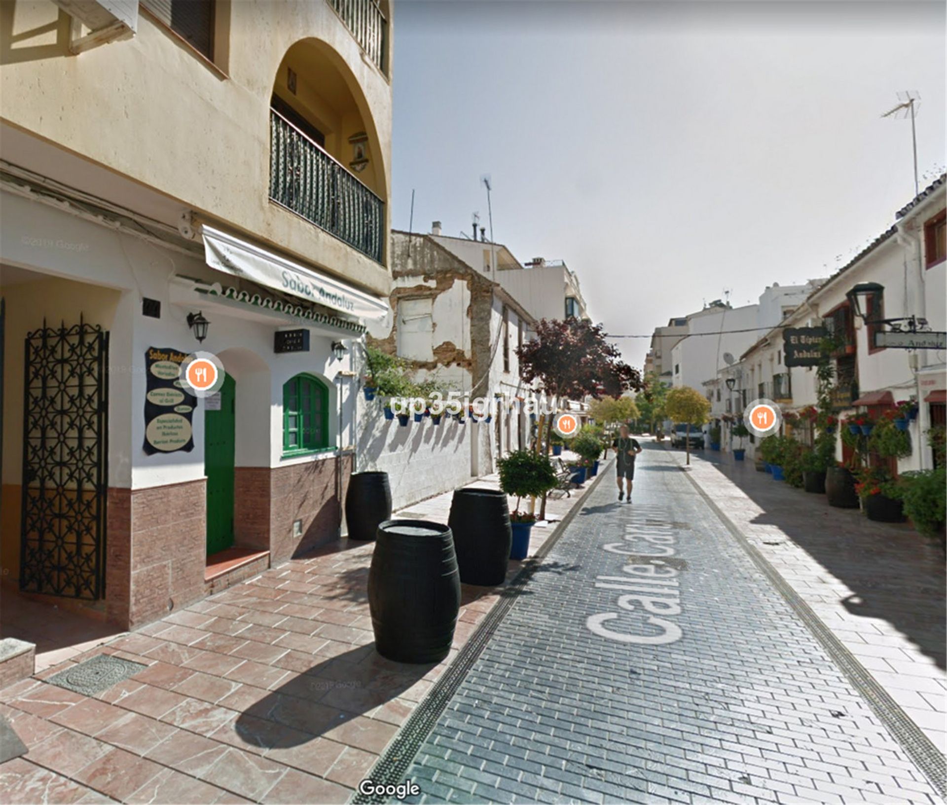 Maa sisään Estepona, Andalucía 10717501