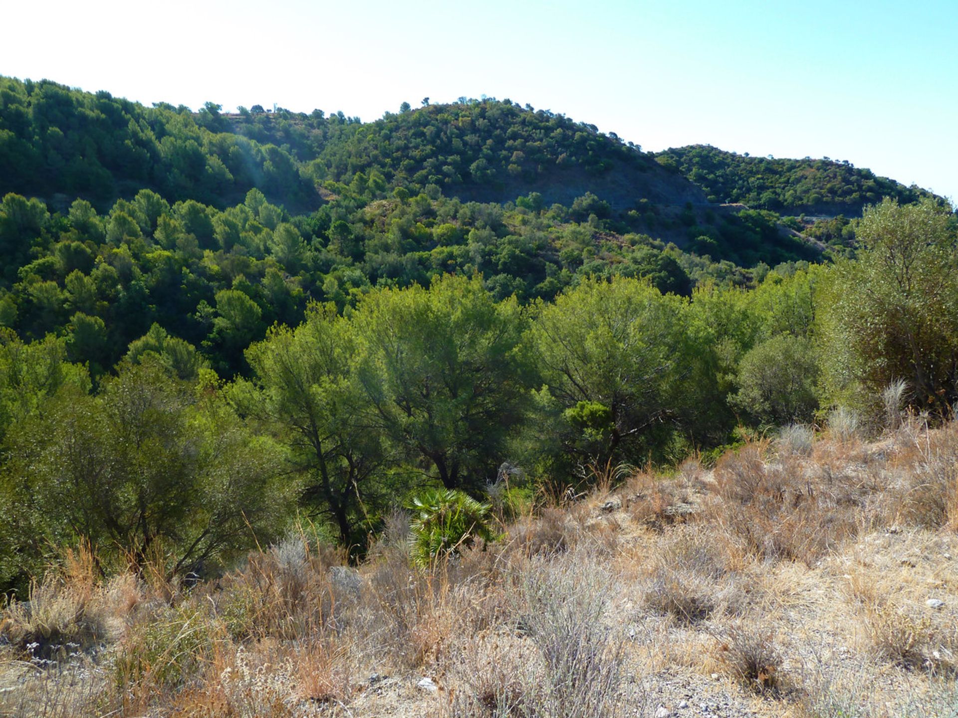 Γη σε Istán, Andalucía 10717531