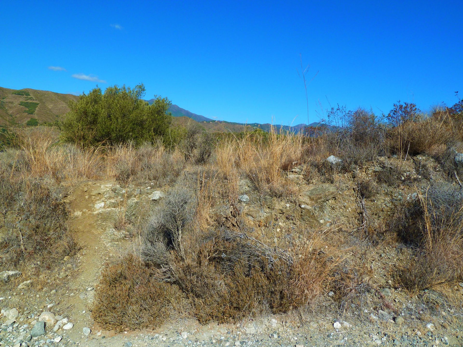 الأرض في Istán, Andalucía 10717531