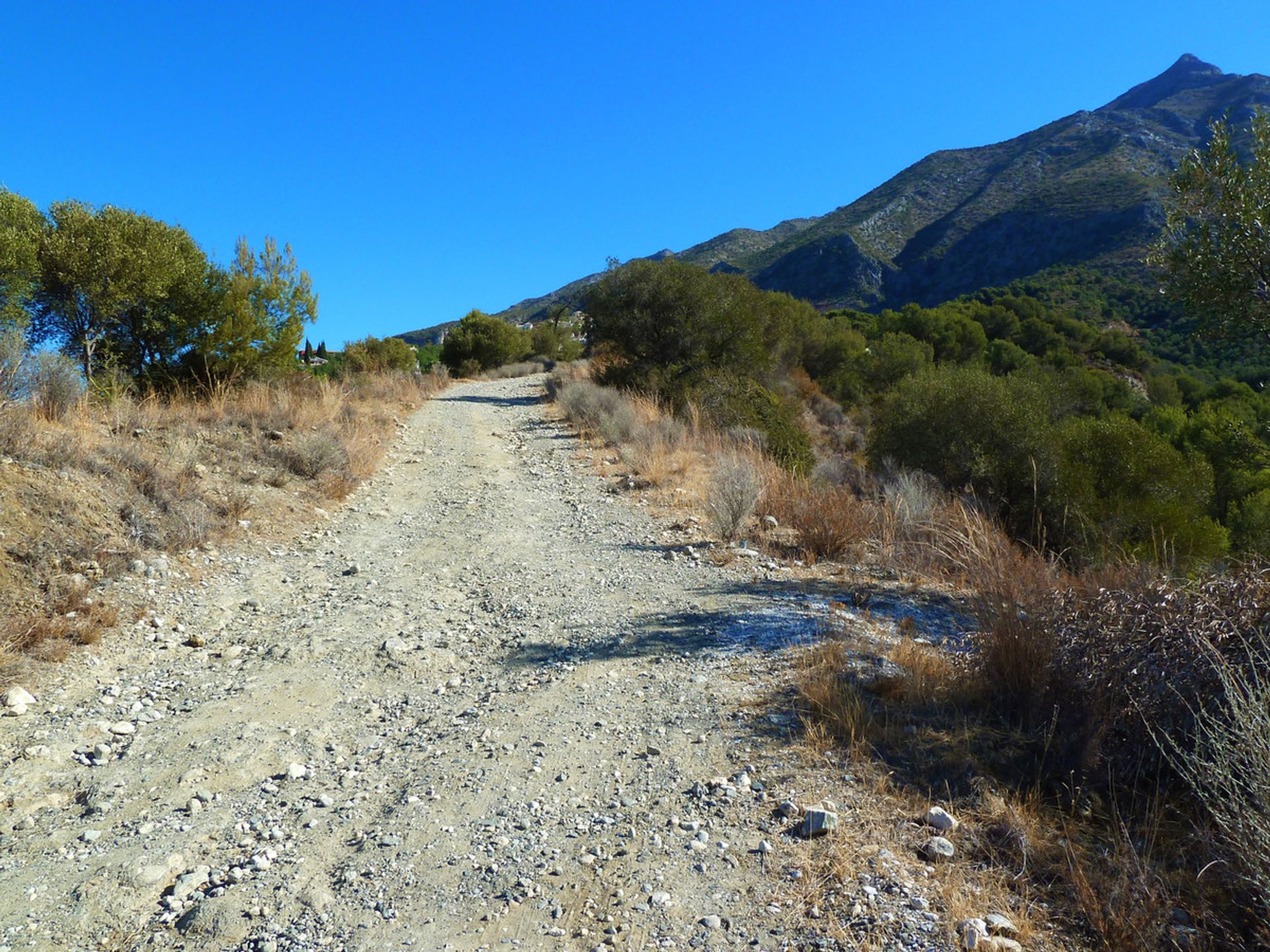 土地 在 Istán, Andalucía 10717531