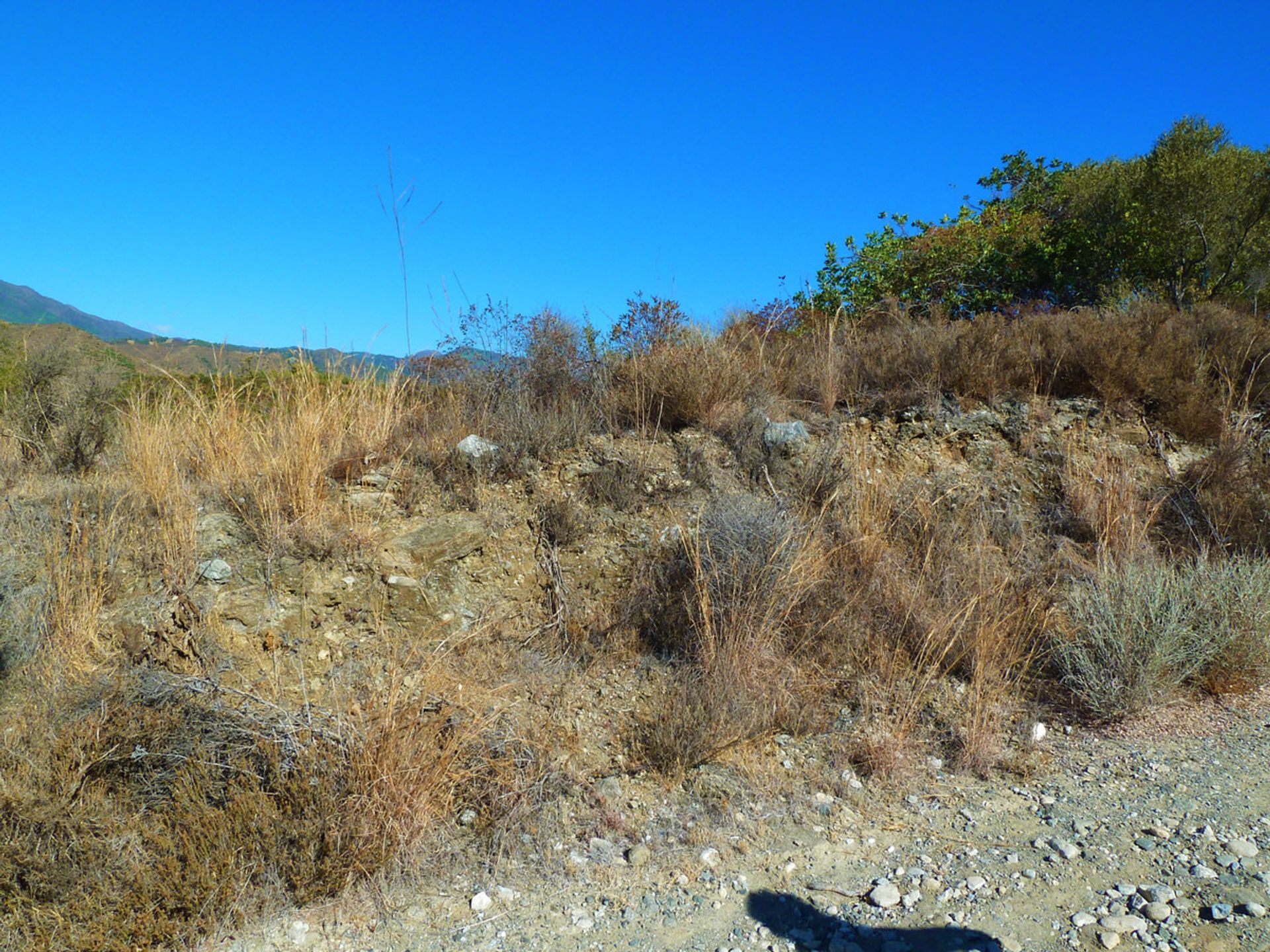 Land in Istan, Andalusië 10717531