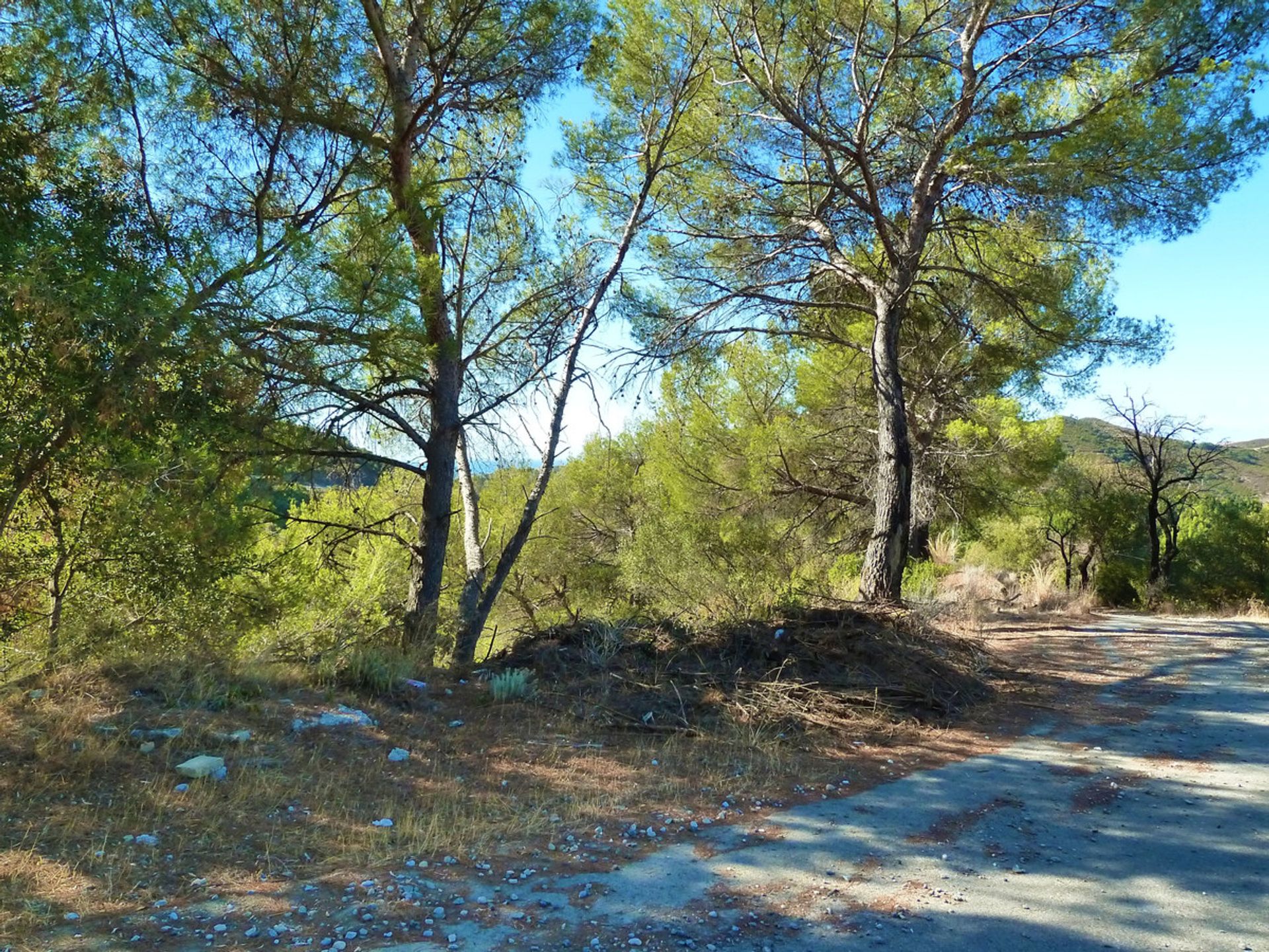 土地 在 Istán, Andalucía 10717531