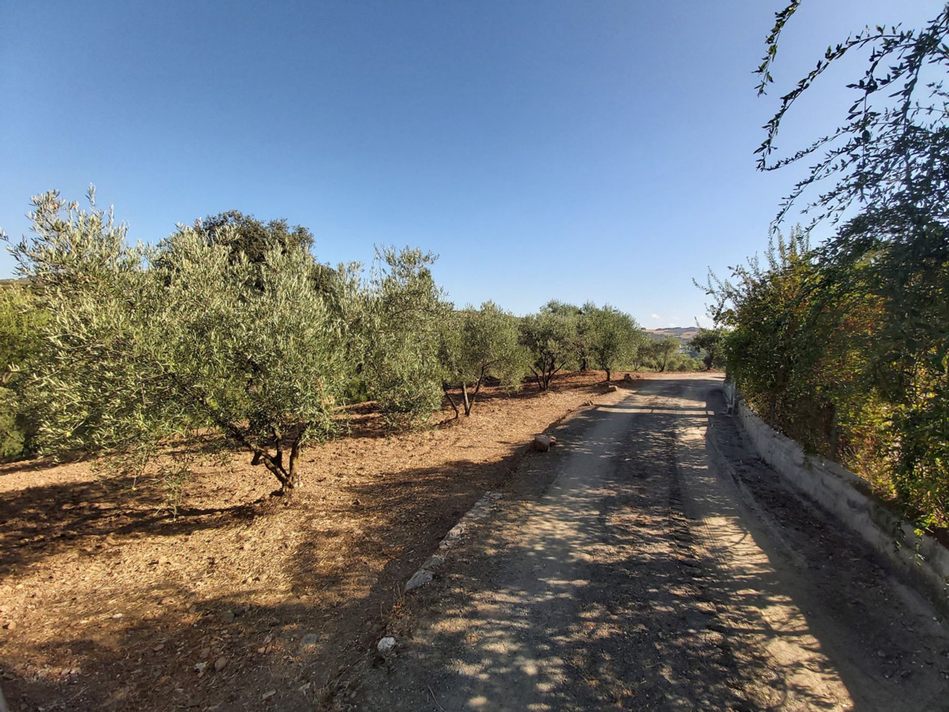 Huis in Guaro, Andalucía 10717566