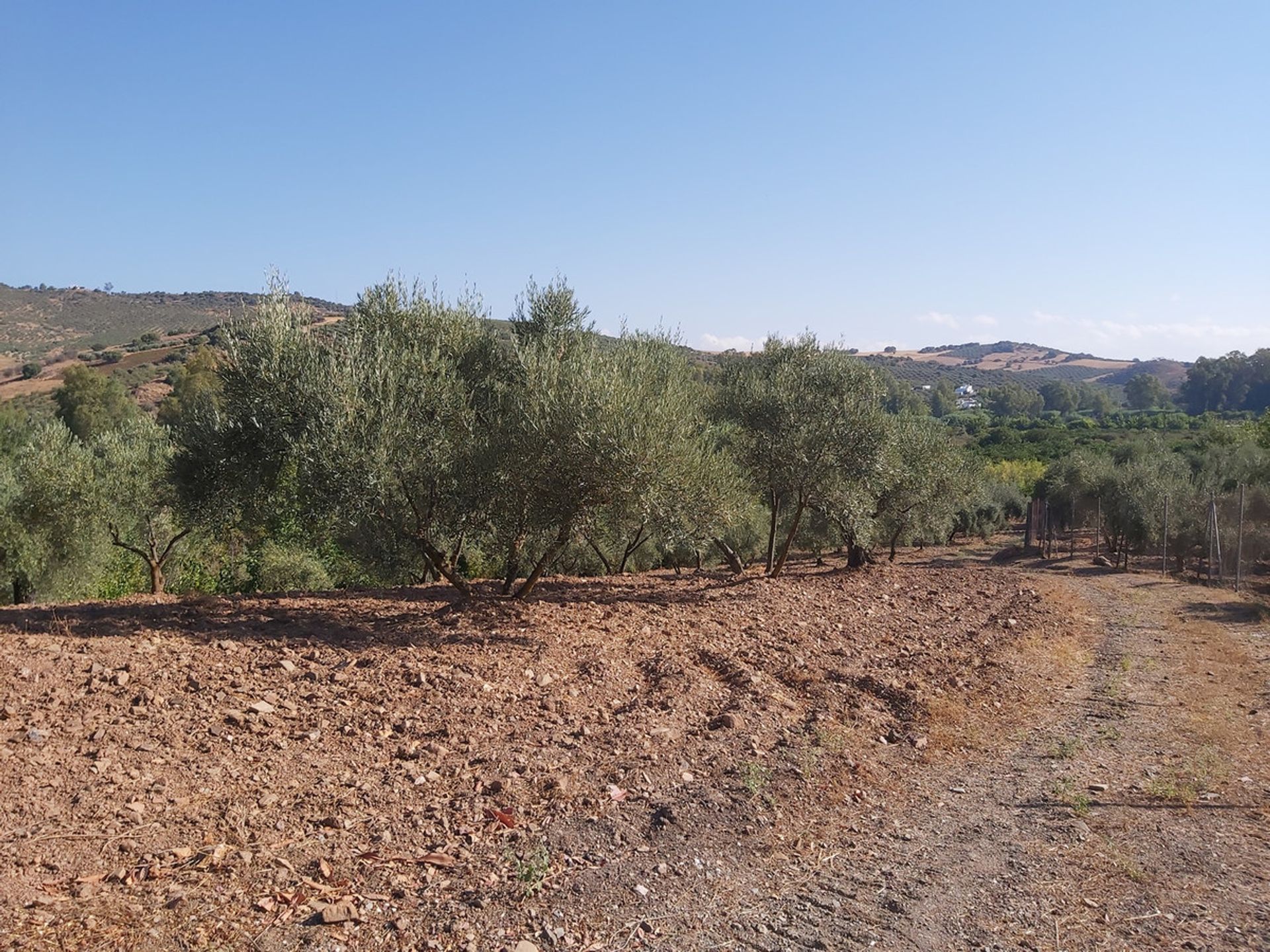 Huis in Guaro, Andalucía 10717566