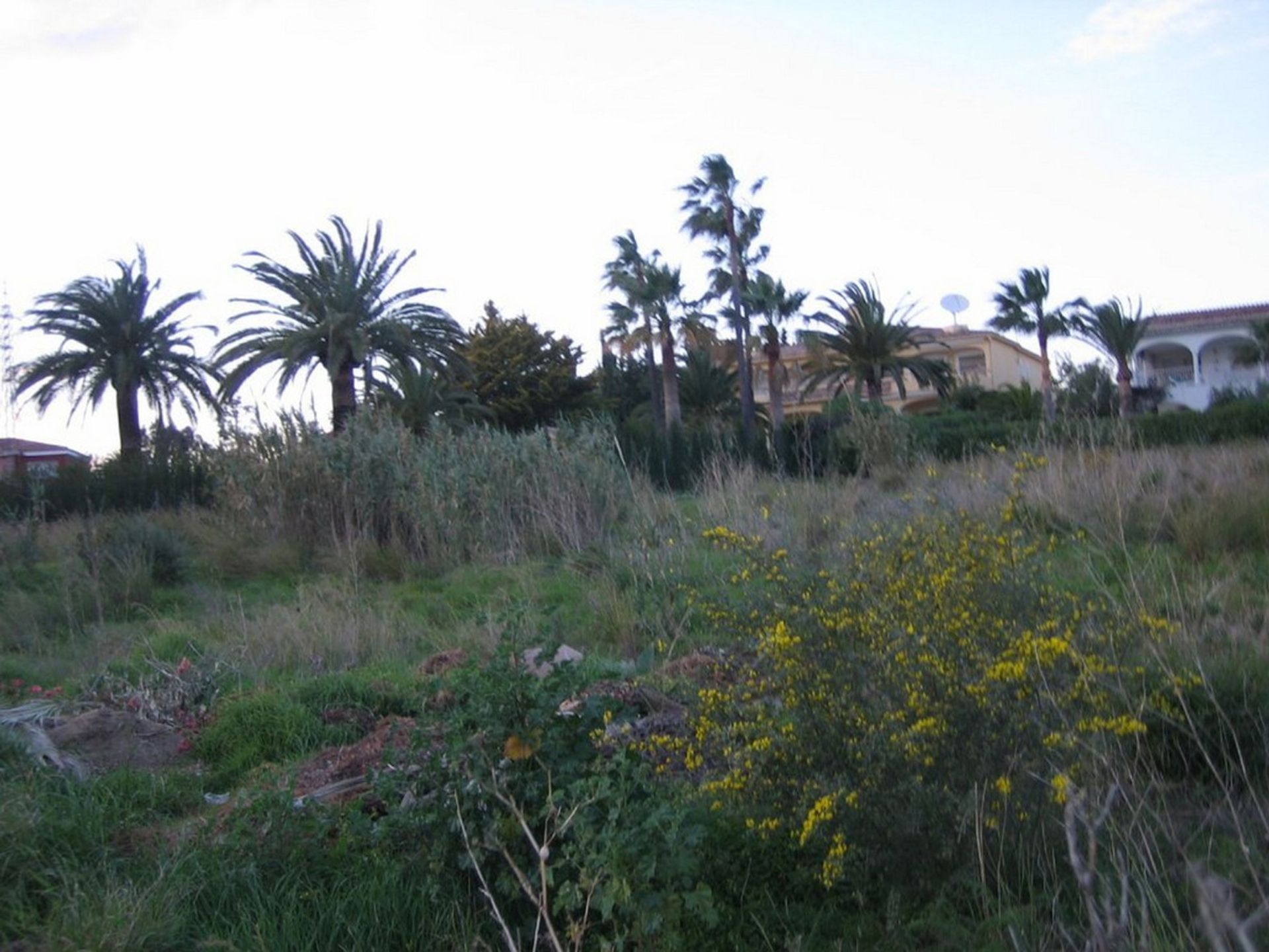 Terra no Estepona, Andaluzia 10717590