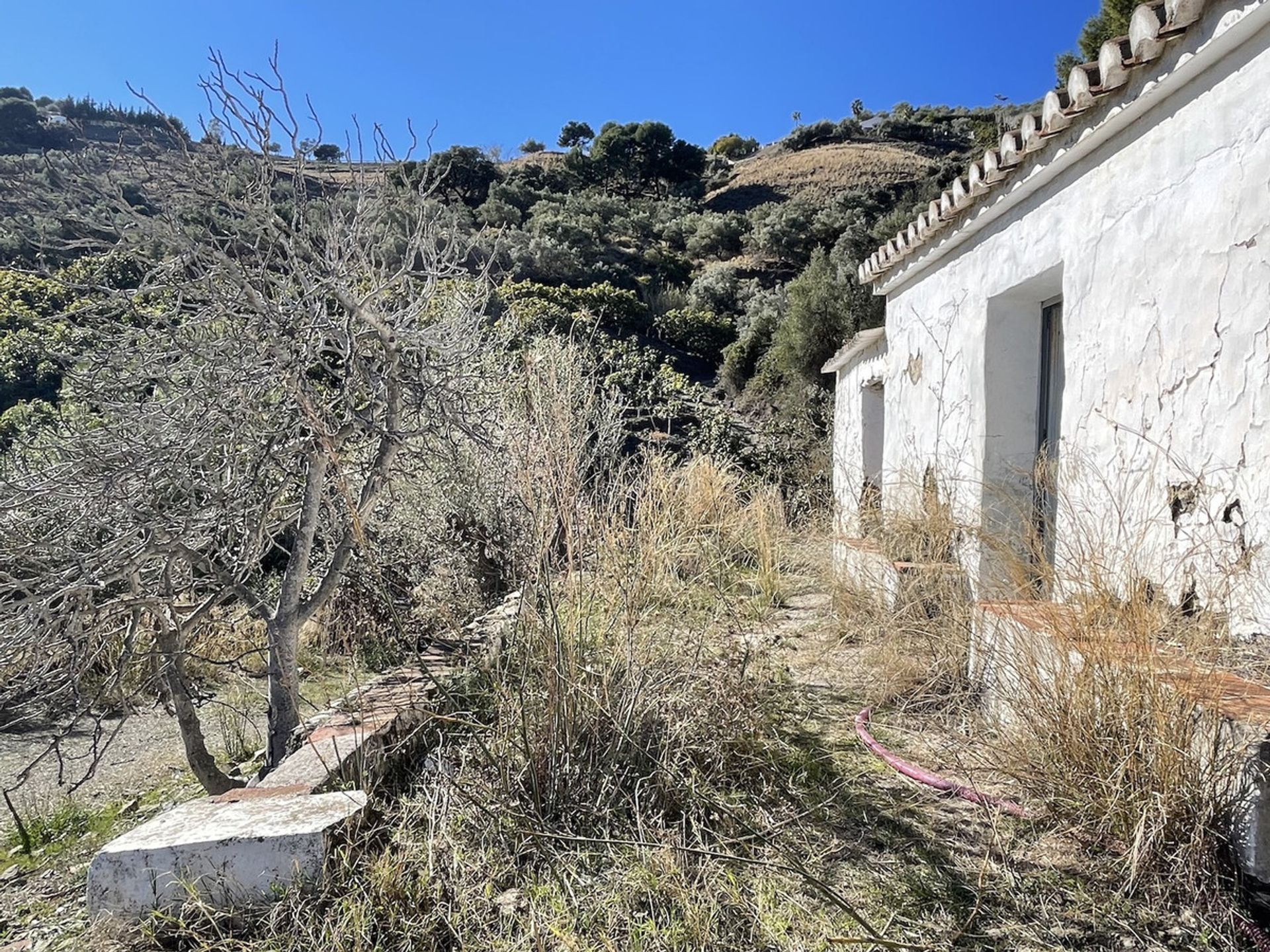 Land i Frigiliana, Andalusia 10717644