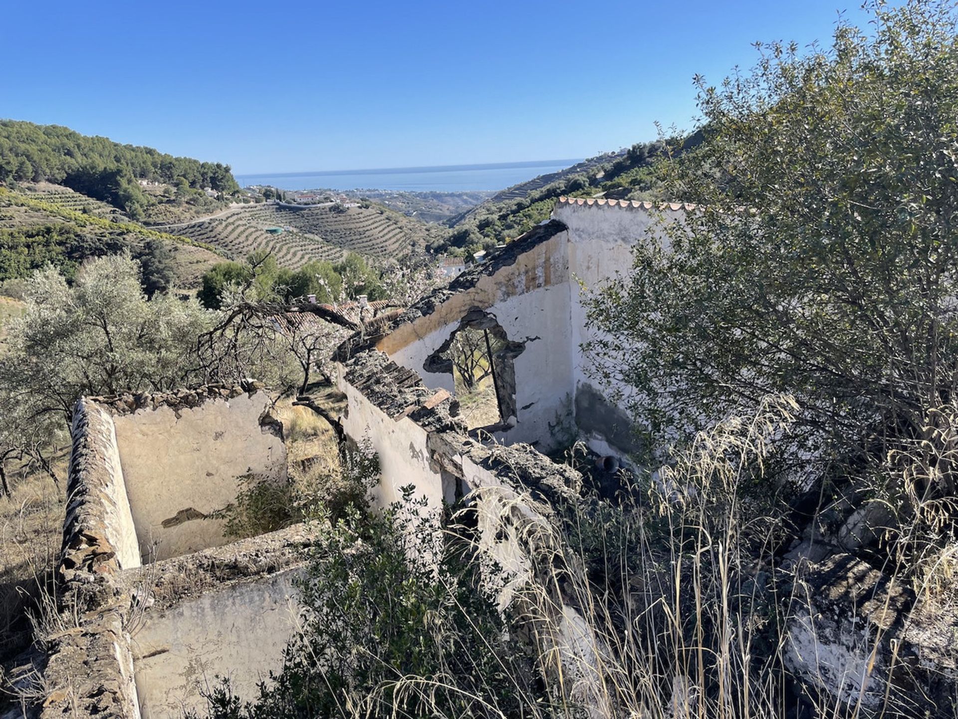 Land i Frigiliana, Andalusia 10717644