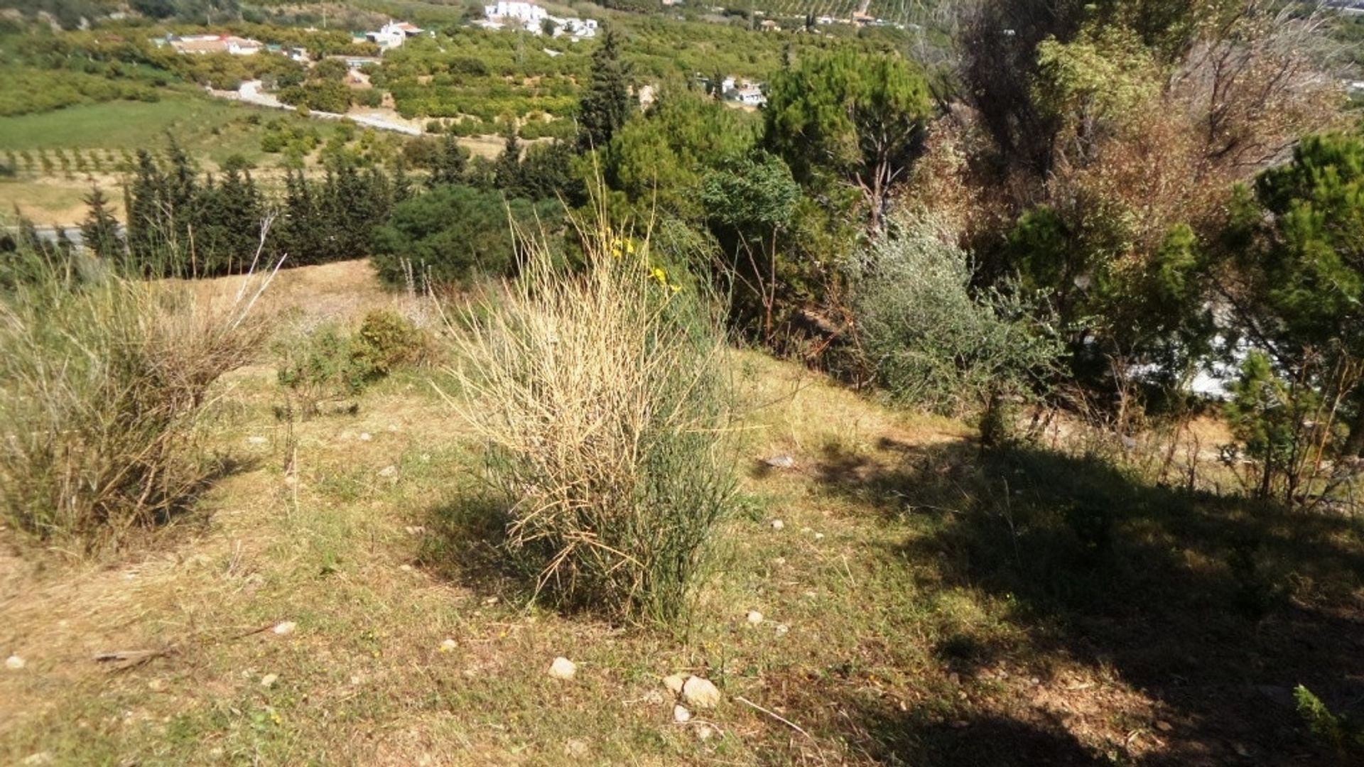 Jord i Alhaurin de la Torre, Andalusien 10717799