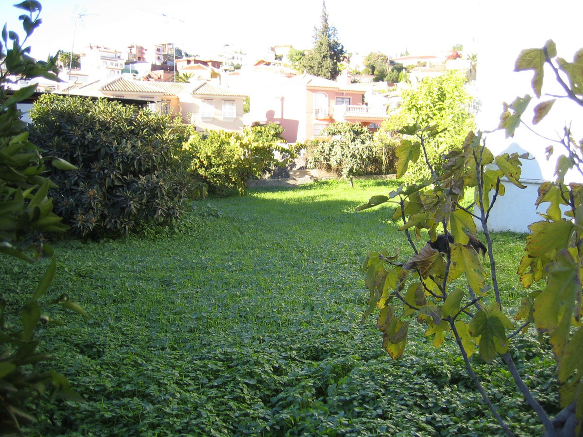 House in Coín, Andalucía 10717856