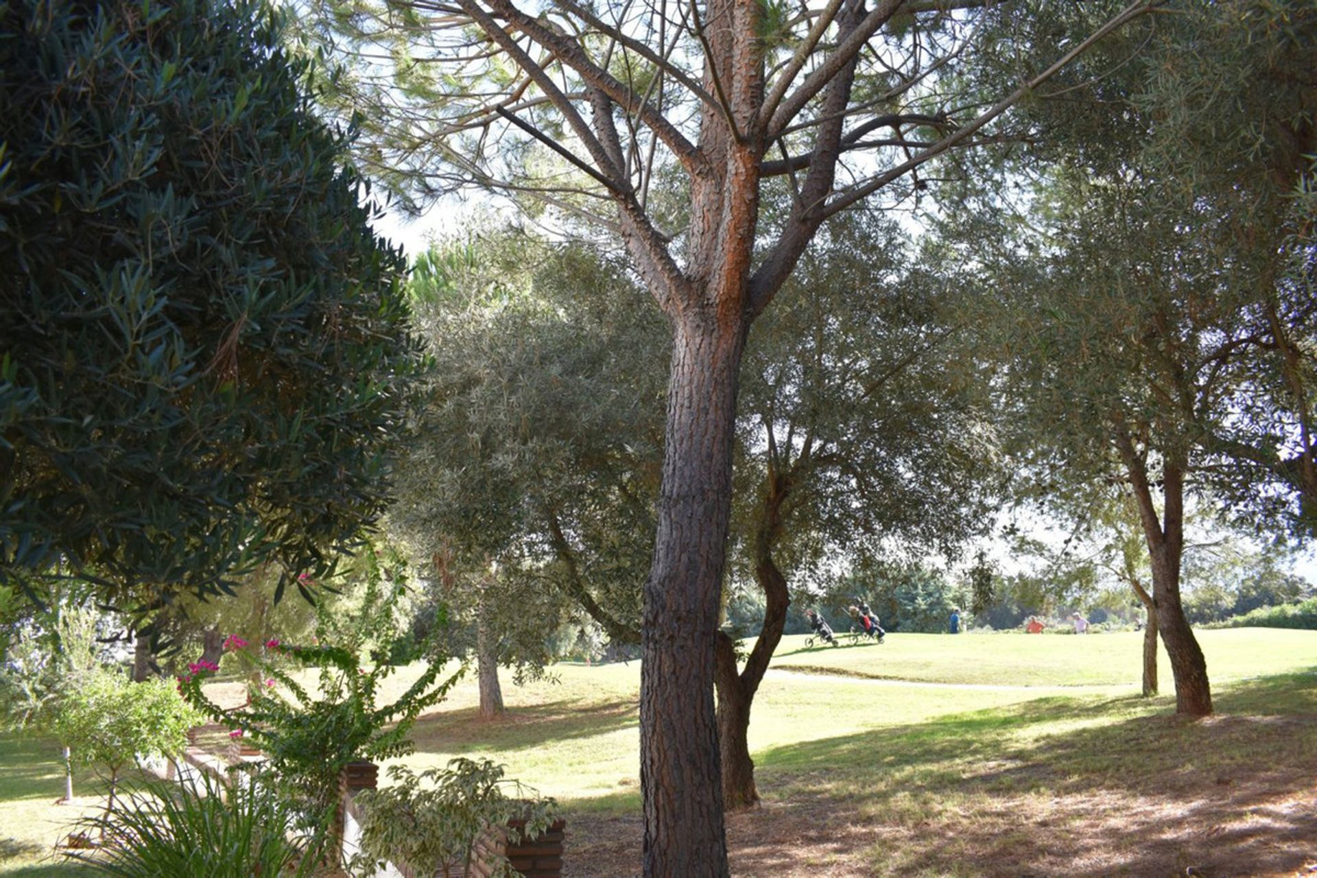 Будинок в Alhaurín de la Torre, Andalucía 10718040