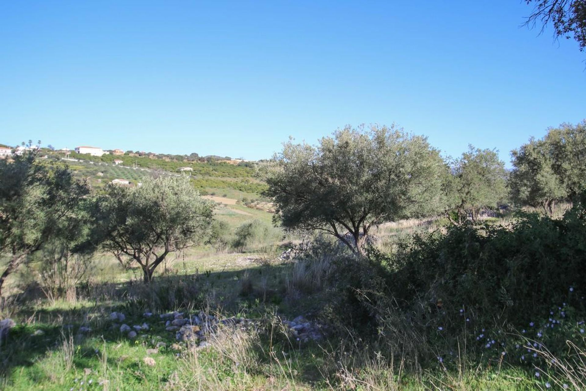 Jord i Alhaurín de la Torre, Andalucía 10718086