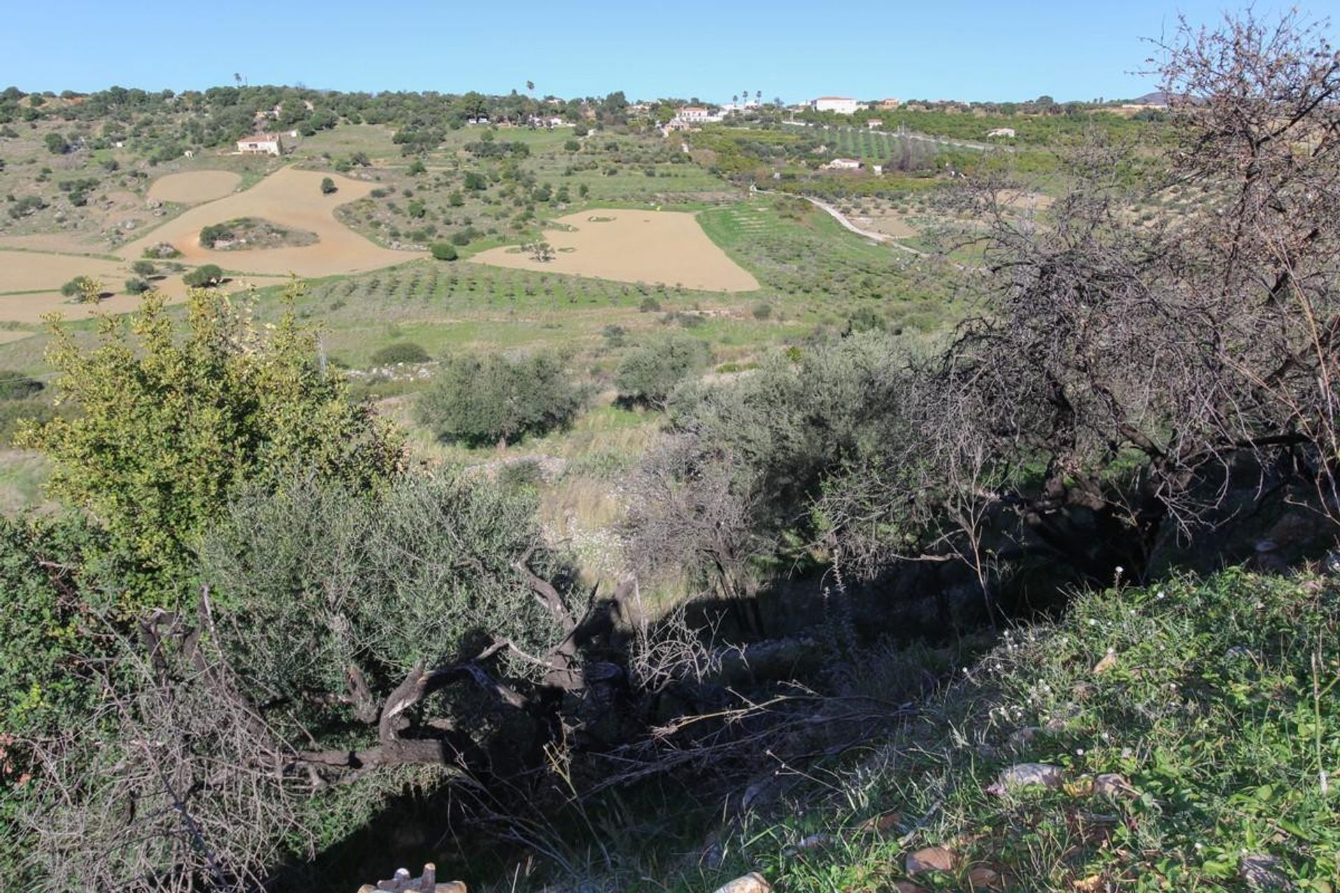 Jord i Alhaurín de la Torre, Andalucía 10718086