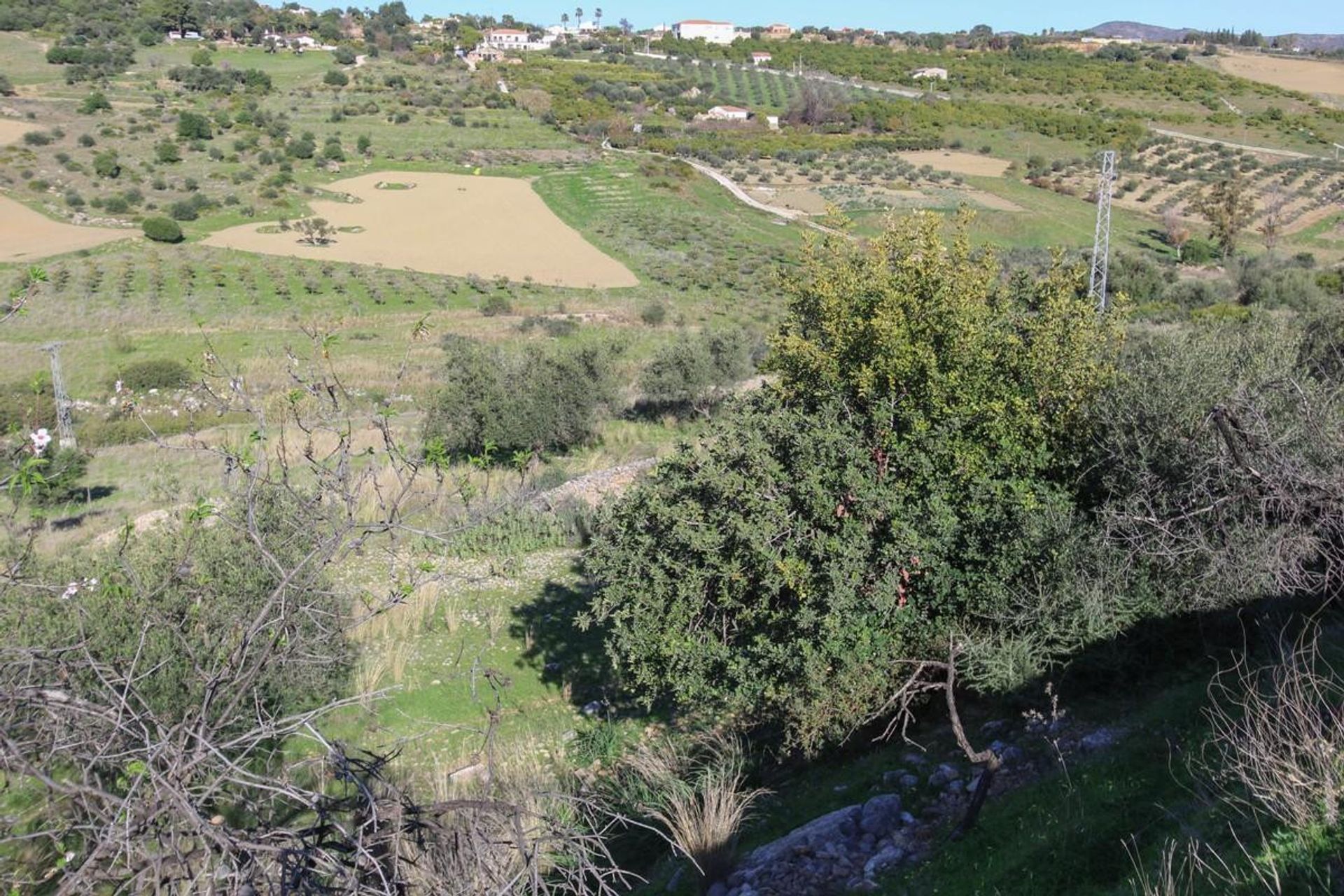 Tanah dalam Alhaurin de la Torre, Andalusia 10718086