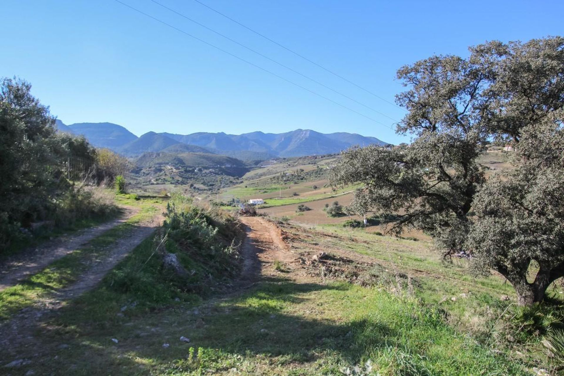 Земля в Alhaurín de la Torre, Andalucía 10718086