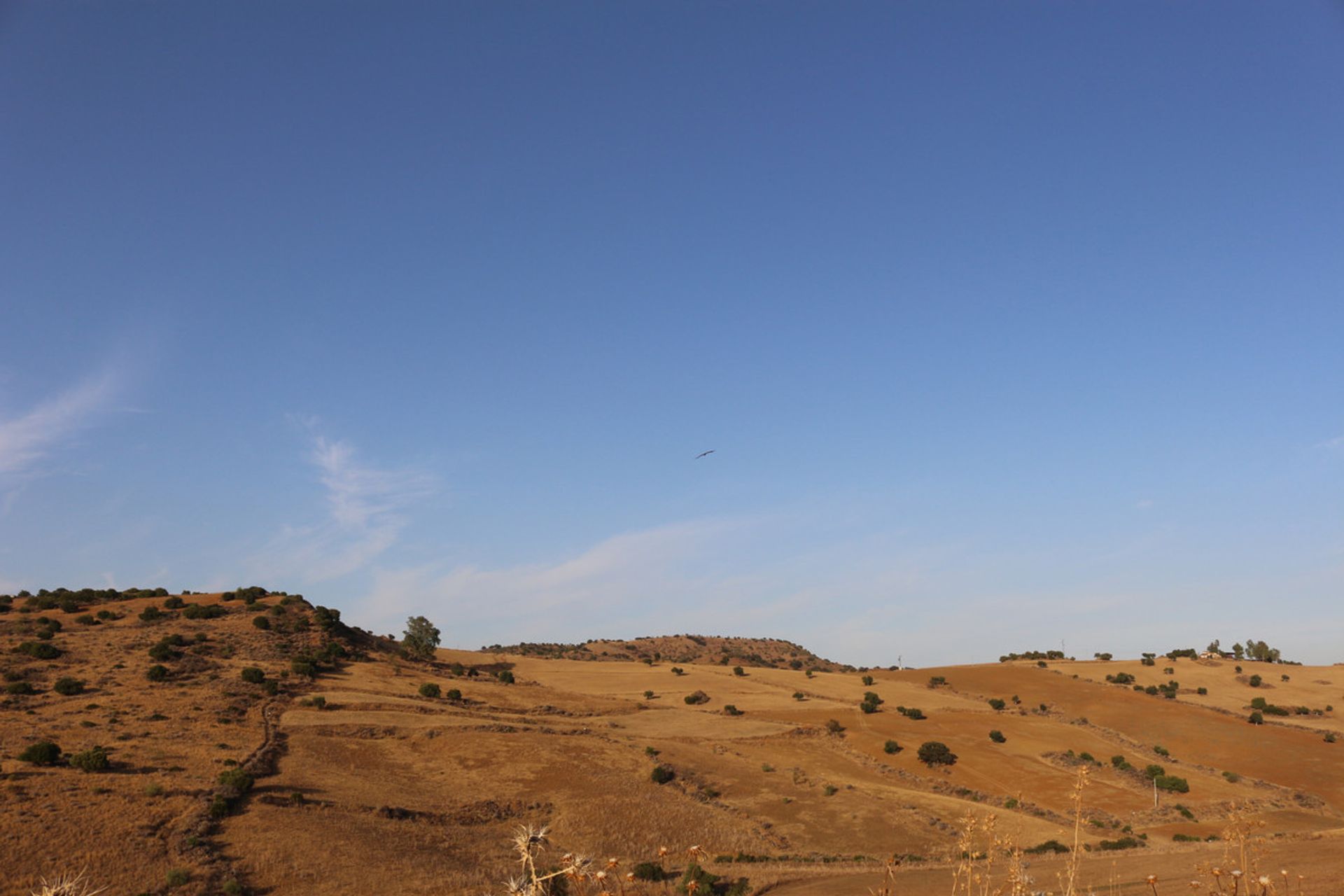 Terra no Moeda, Andaluzia 10718117