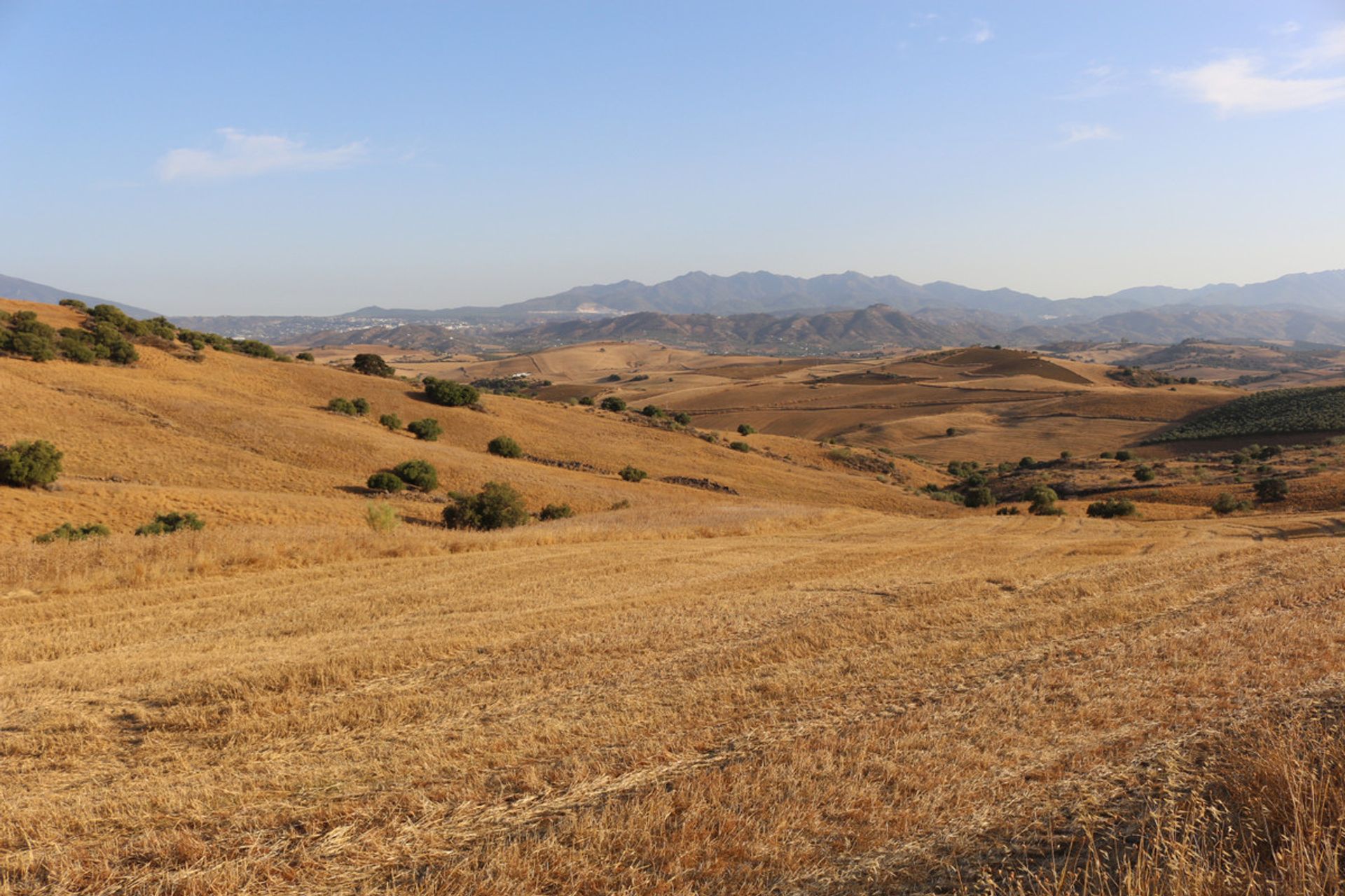 Terra no Moeda, Andaluzia 10718117