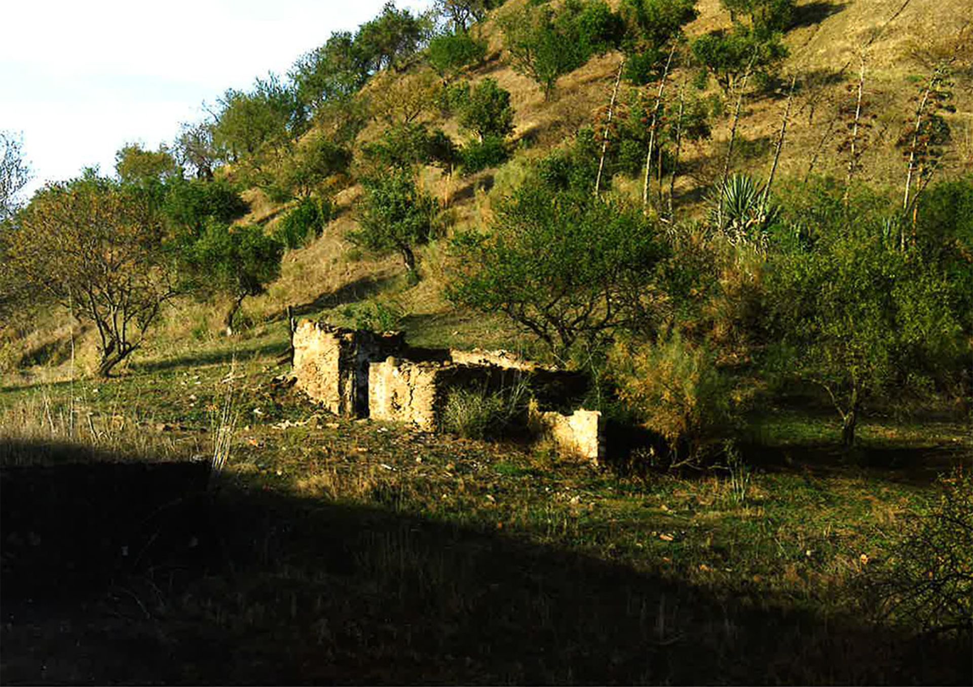 Jord i Álora, Andalucía 10718130