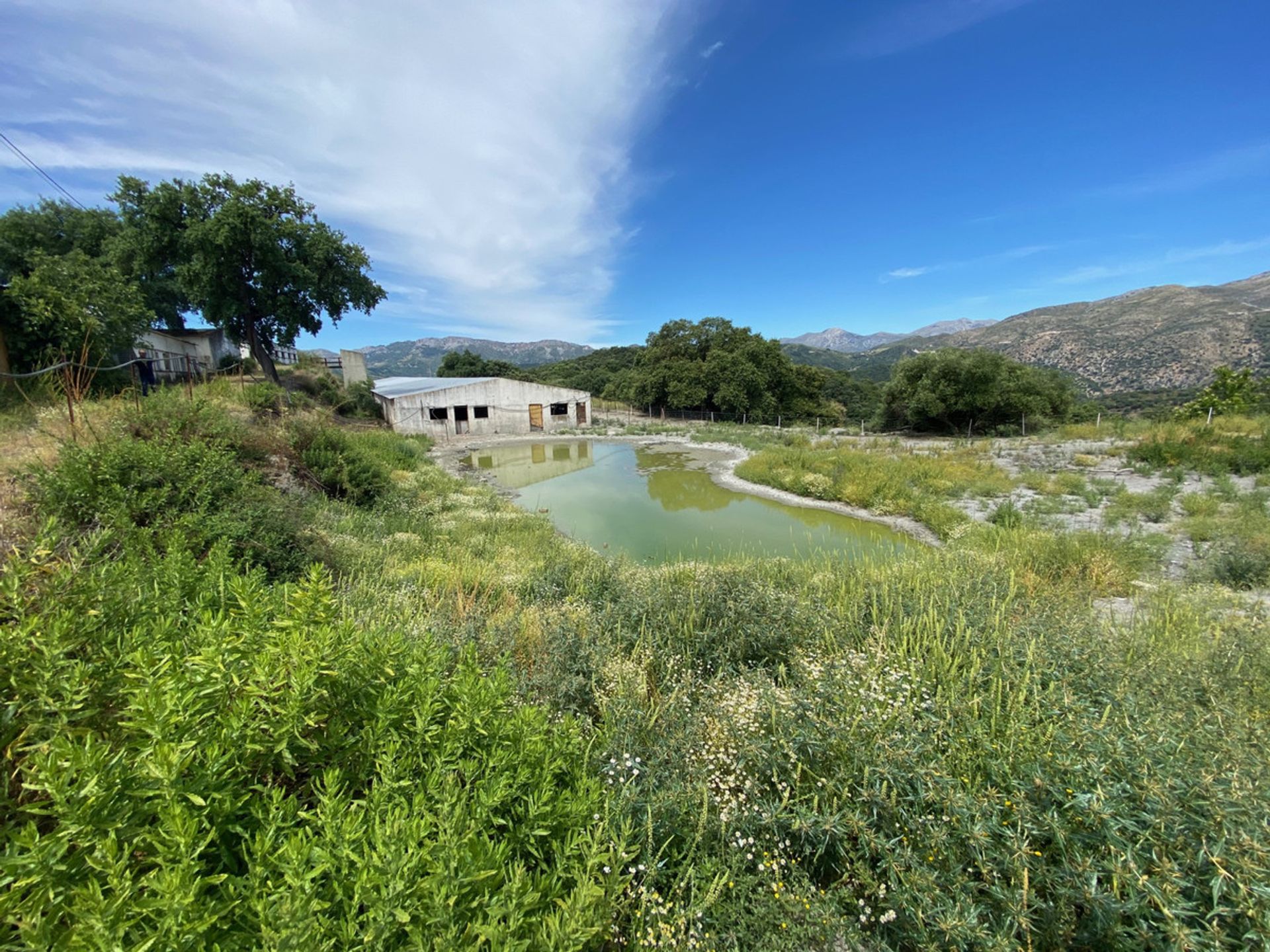 Industrial en Alpandeire, Andalucía 10718146