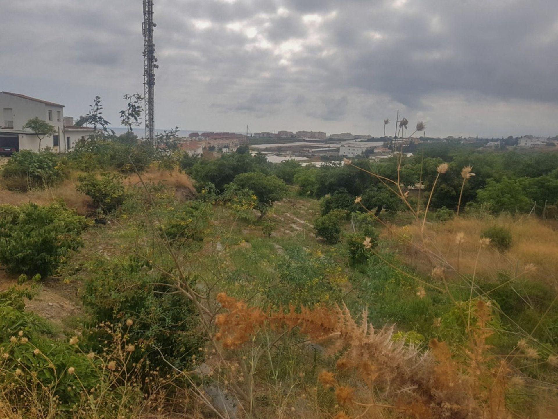 Tanah dalam Torrox, Andalucía 10718160