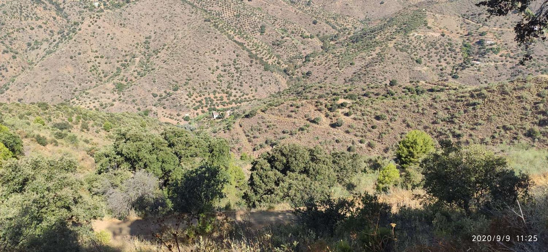 Tierra en Monda, Andalucía 10718260