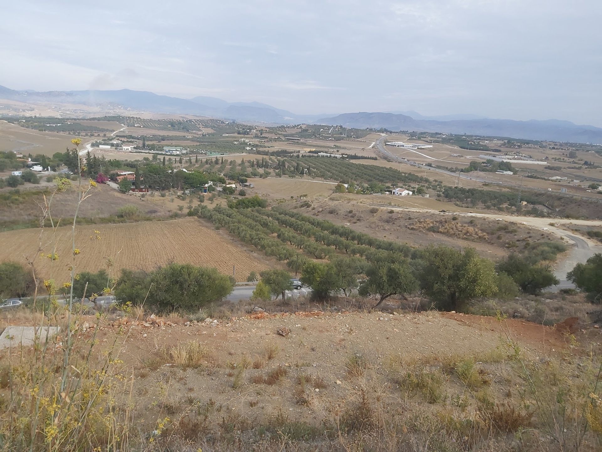 Tanah di Coín, Andalucía 10718272