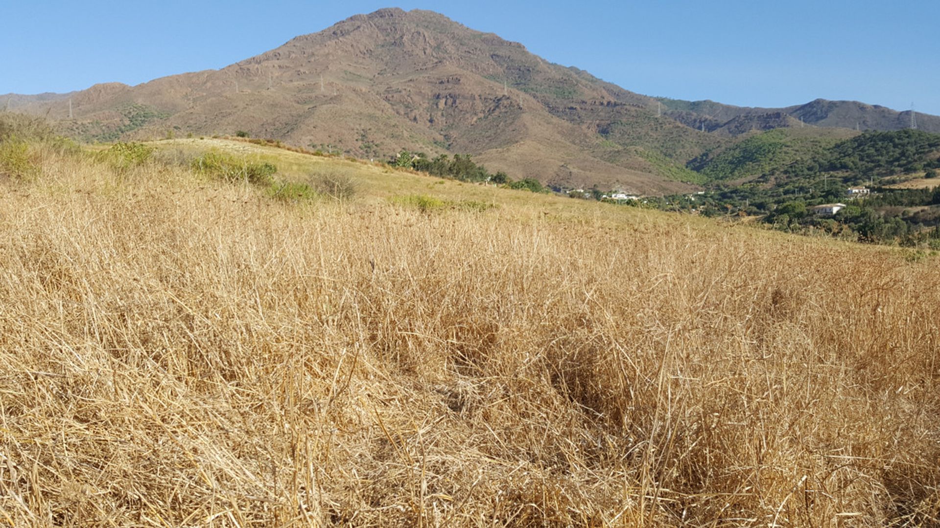 Tierra en Estepona, Andalucía 10718286