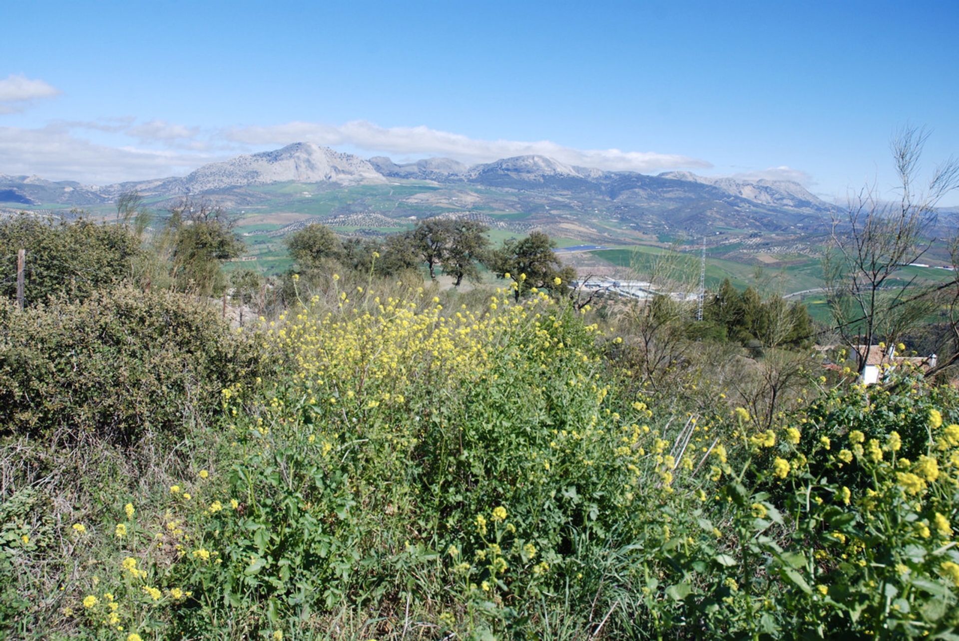 房子 在 Casabermeja, Andalucía 10718448