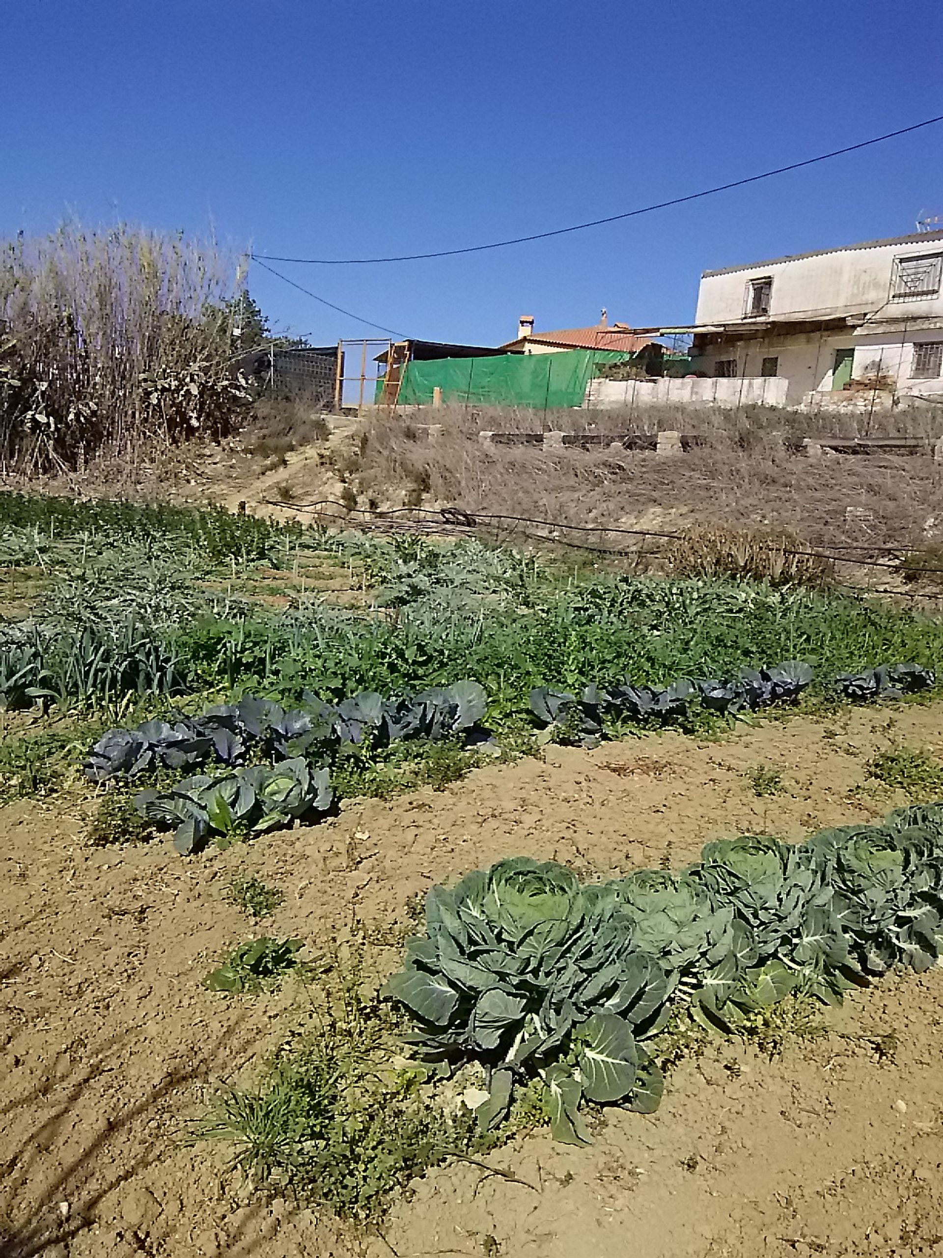 Huis in Alhaurín el Grande, Andalucía 10718460