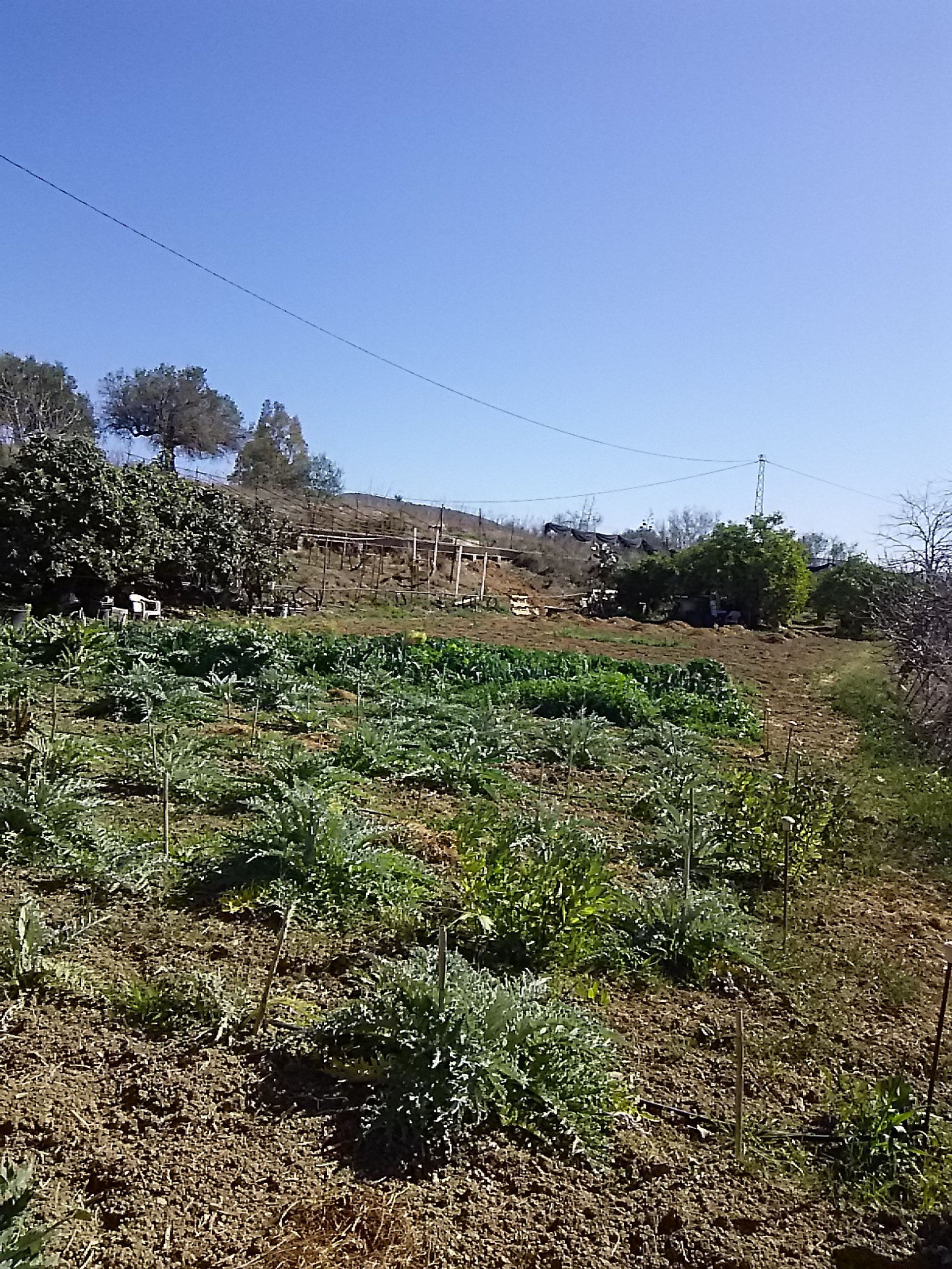 Huis in Alhaurin el Grande, Andalusië 10718460