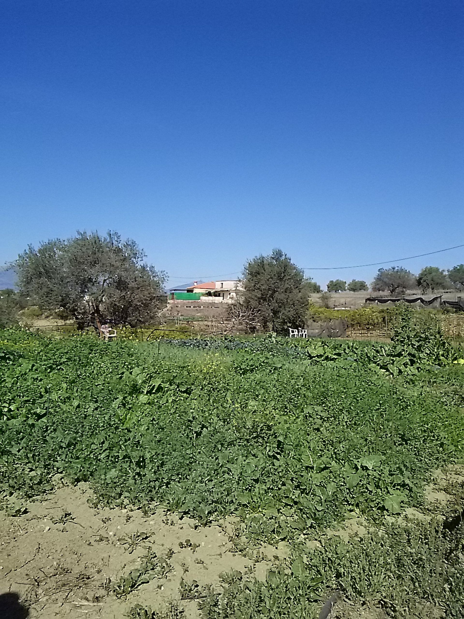 Huis in Alhaurín el Grande, Andalucía 10718460