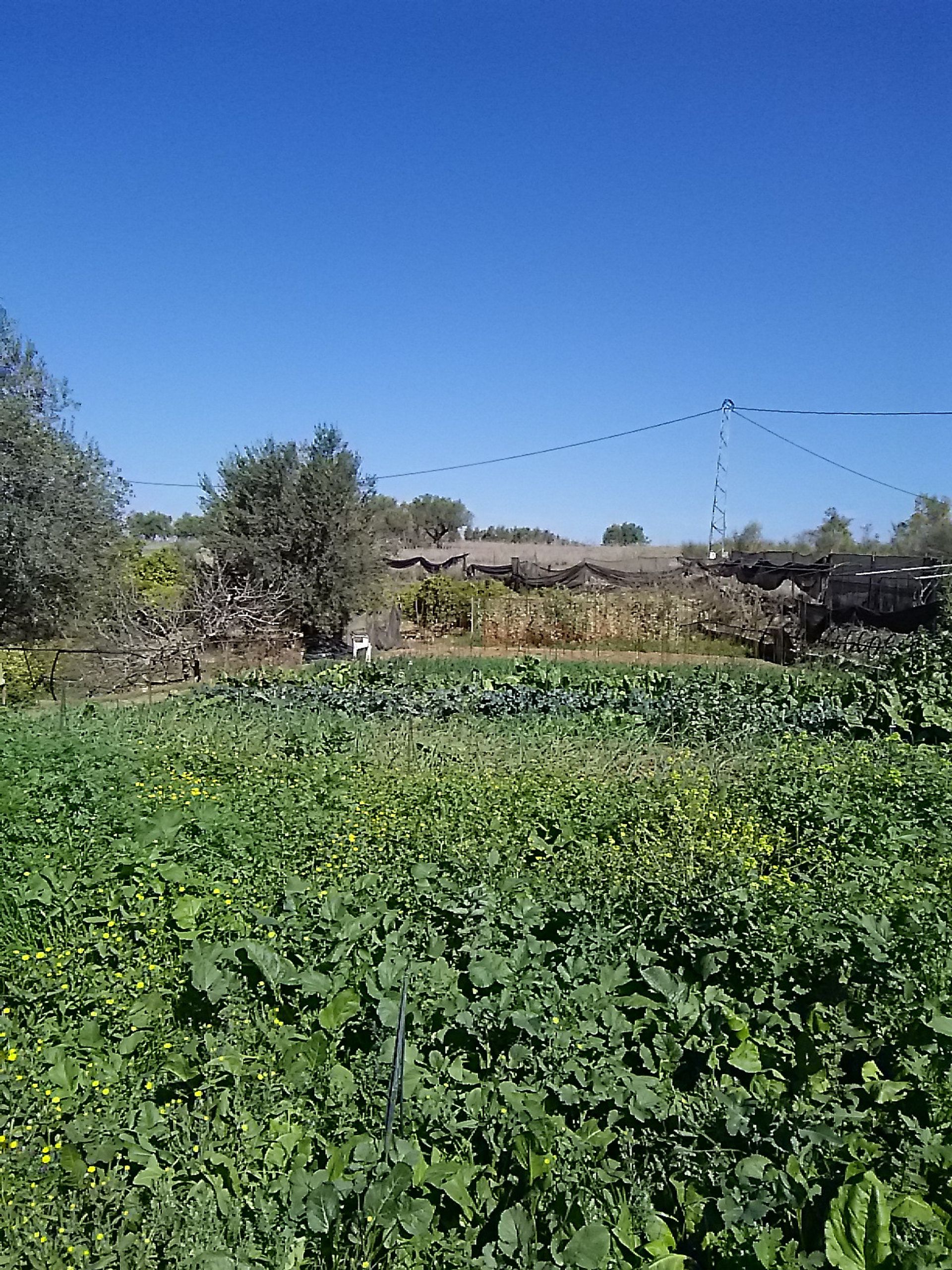 Huis in Alhaurín el Grande, Andalucía 10718460