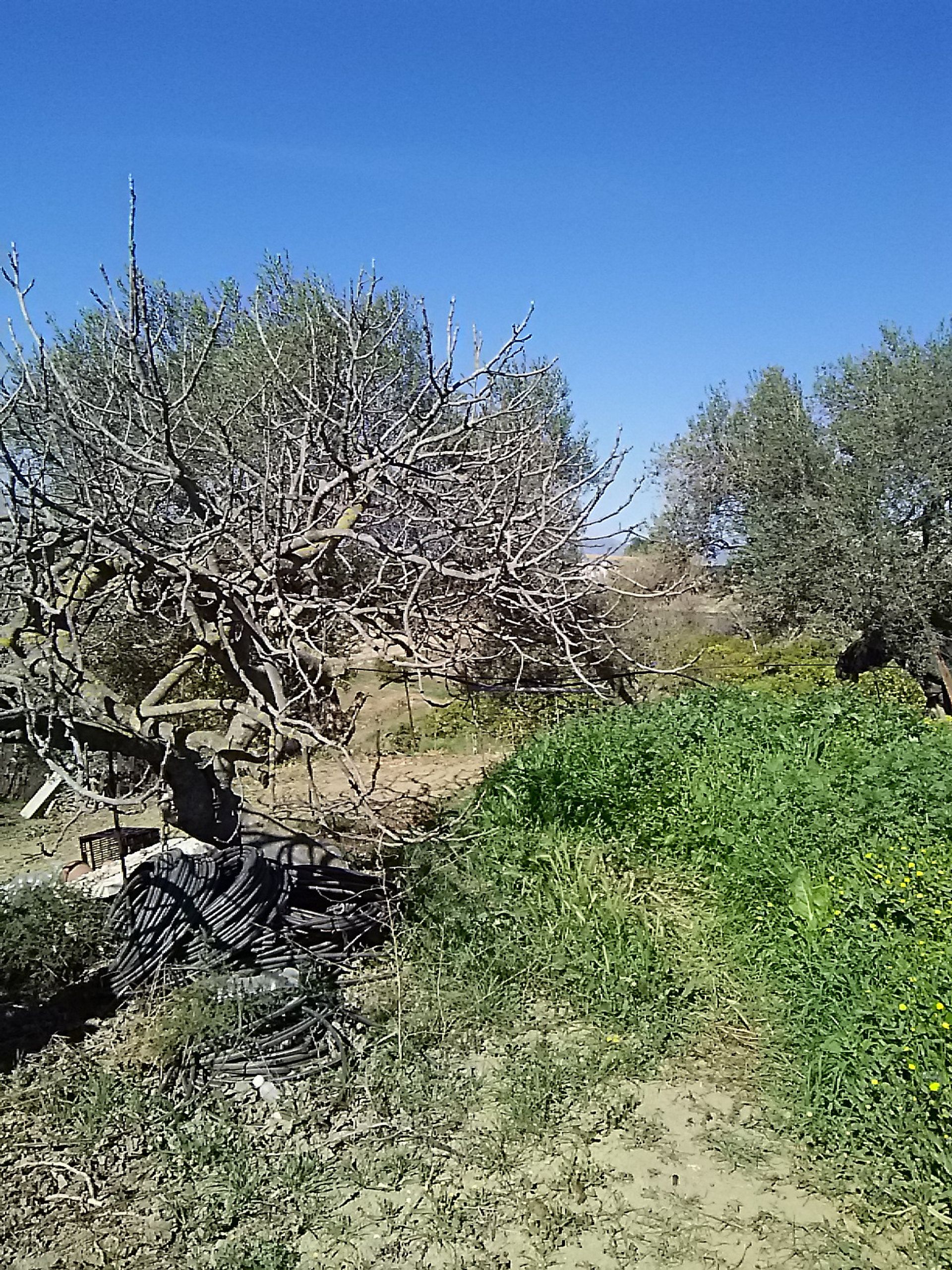 Huis in Alhaurín el Grande, Andalucía 10718460