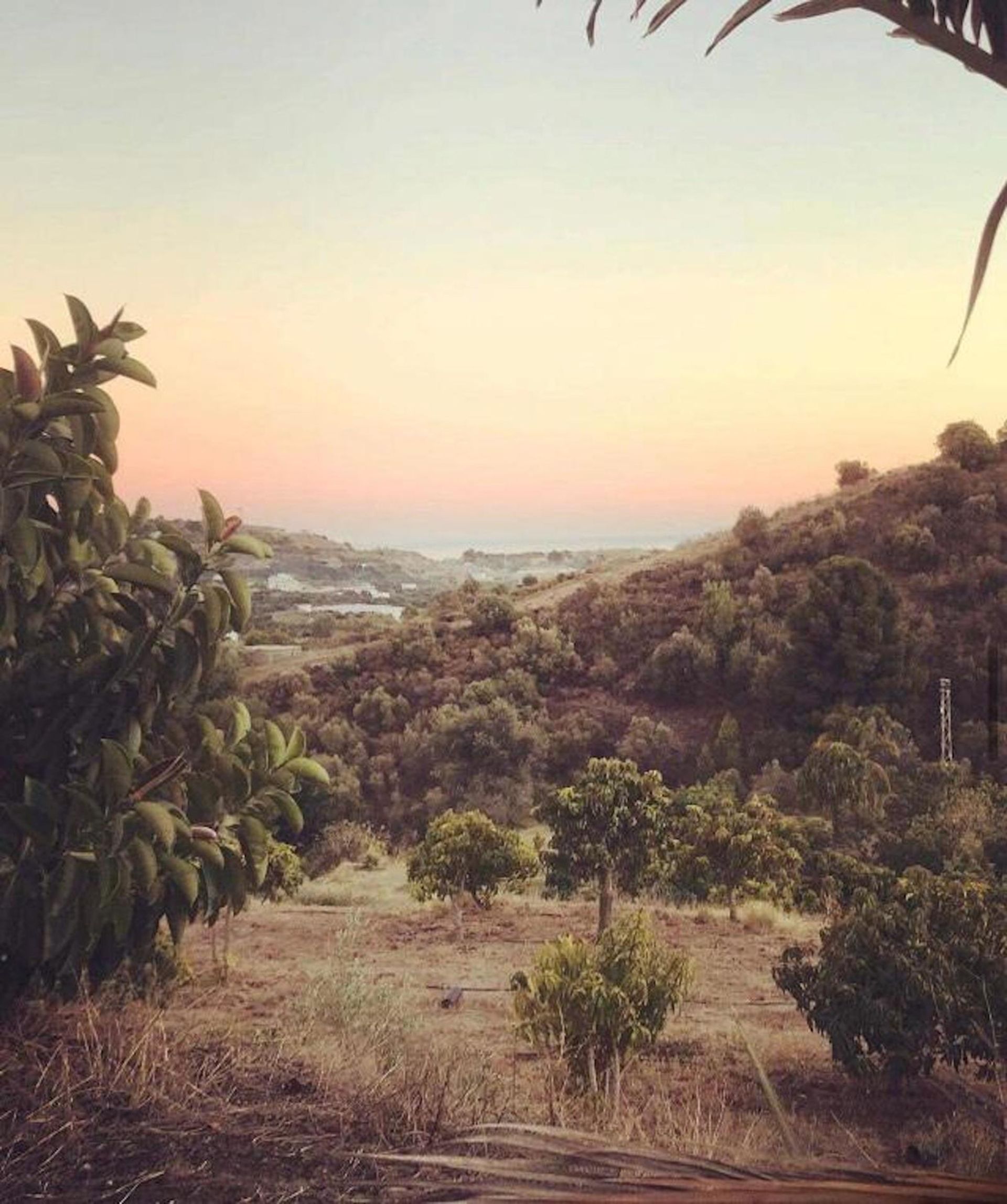 House in Frigiliana, Andalusia 10718519