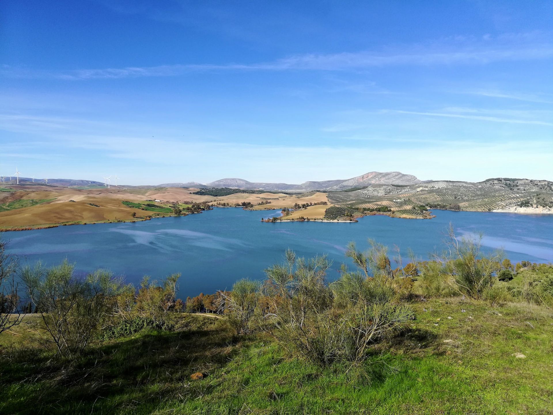 Tierra en , Andalucía 10718568