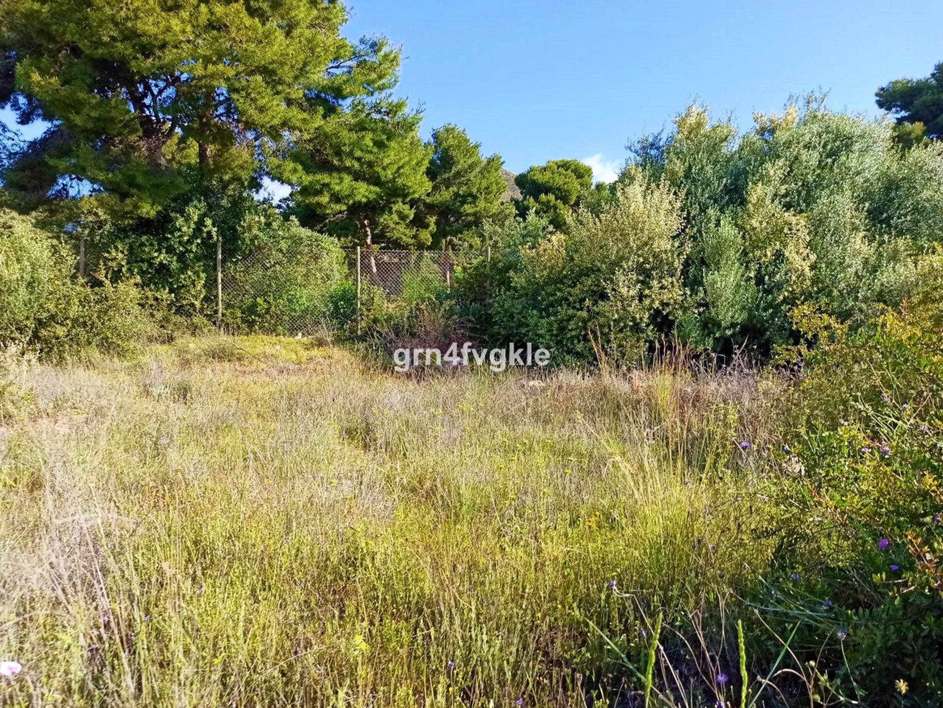 土地 在 Frigiliana, Andalucía 10718634