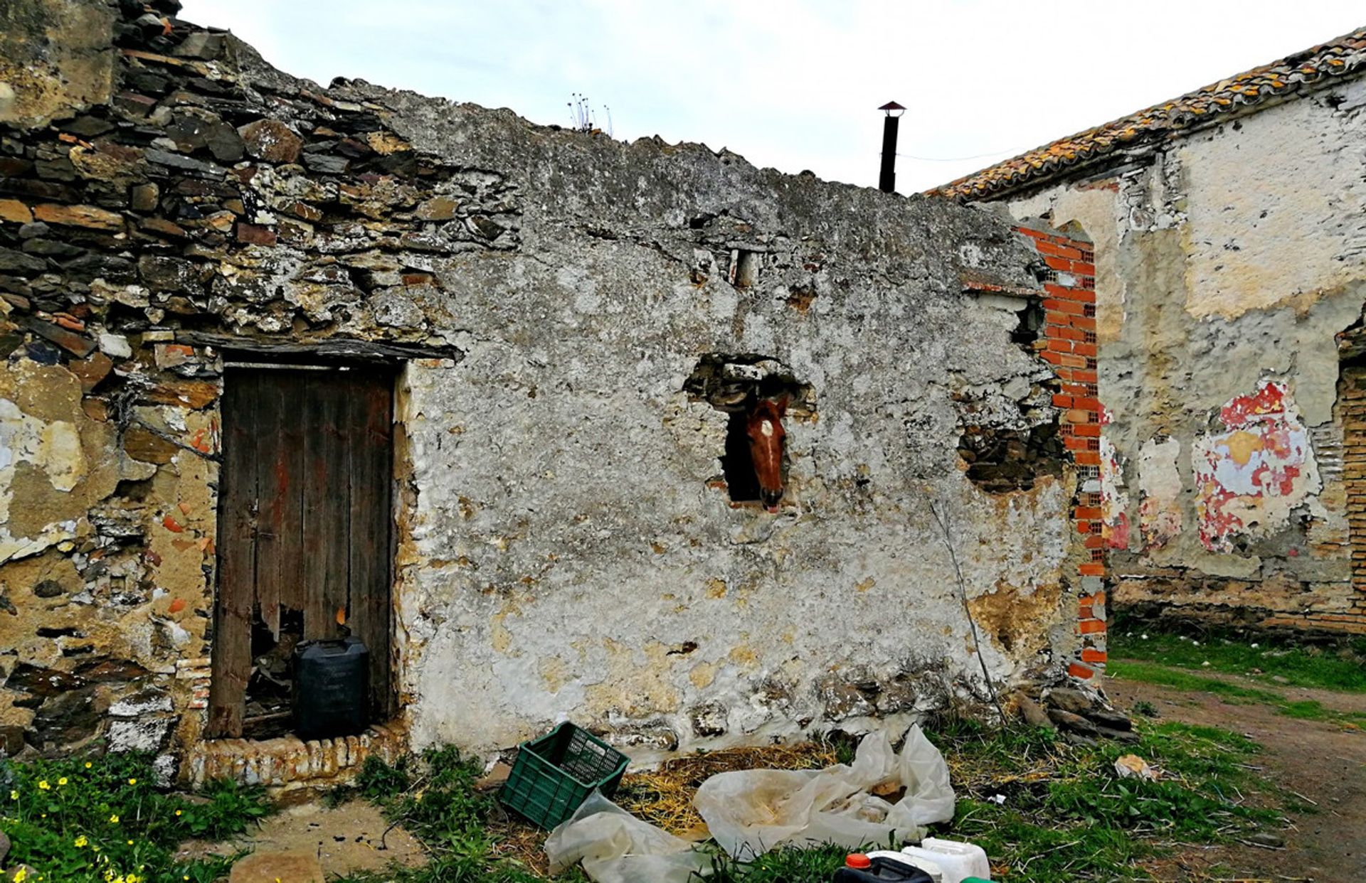 Casa nel Vélez-Málaga, Andalucía 10718638