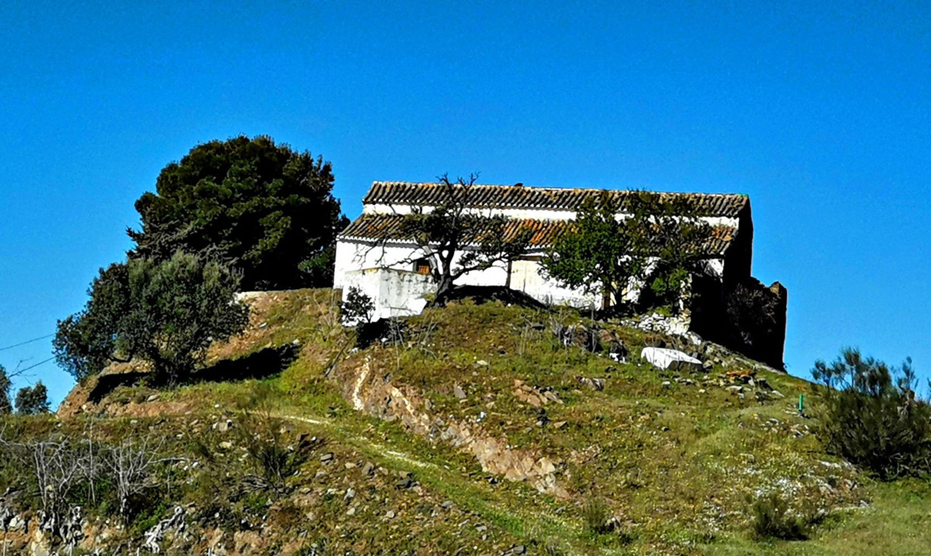 House in Triana, Andalusia 10718638