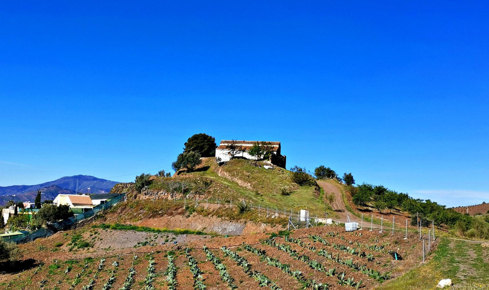 House in Triana, Andalusia 10718638