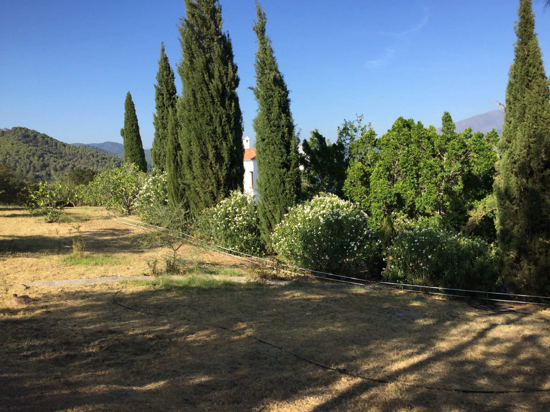 房子 在 Gaucín, Andalucía 10718645