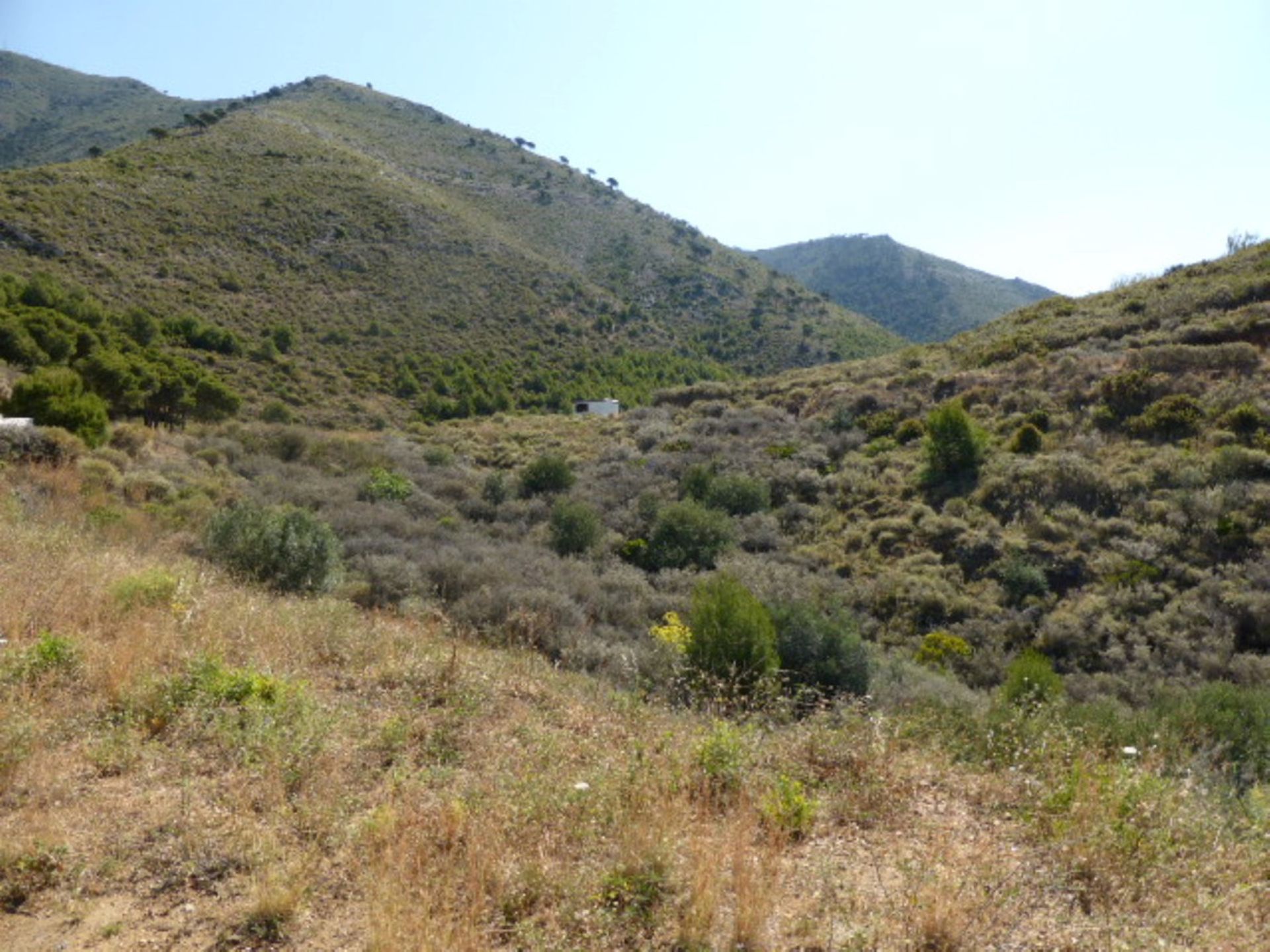 Tierra en mija, Andalucía 10718697