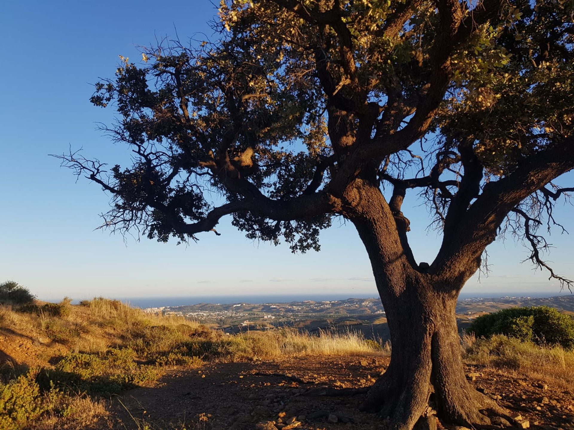 ארץ ב Mijas, Andalucía 10718806