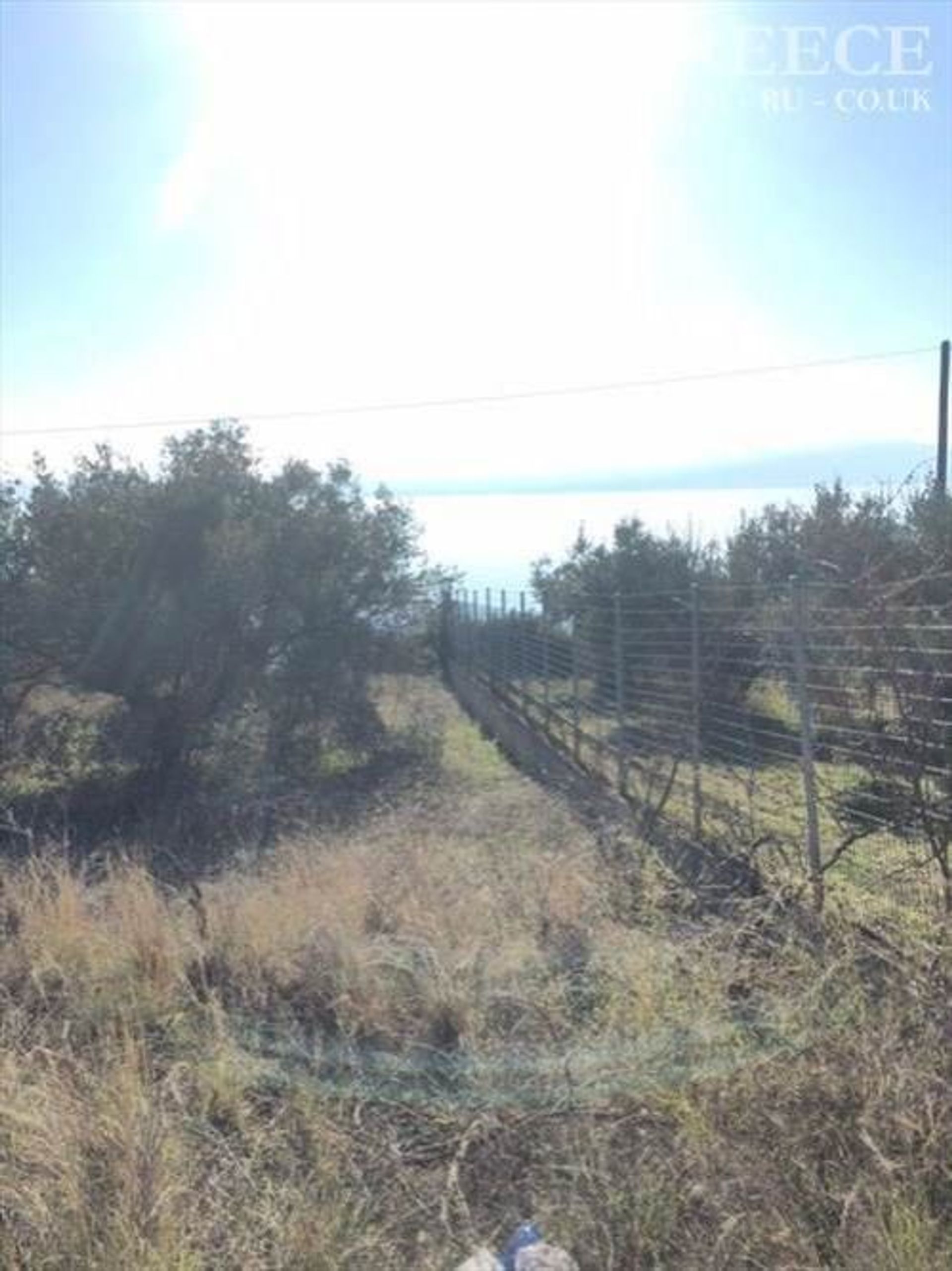 Land in Lichada,  10718865