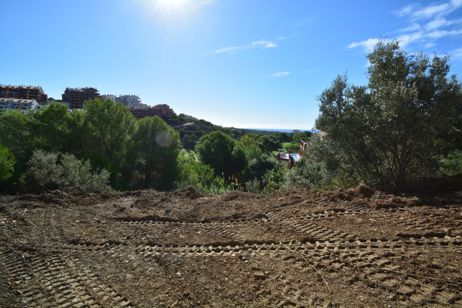 Land i Ojen, Andalusia 10718909