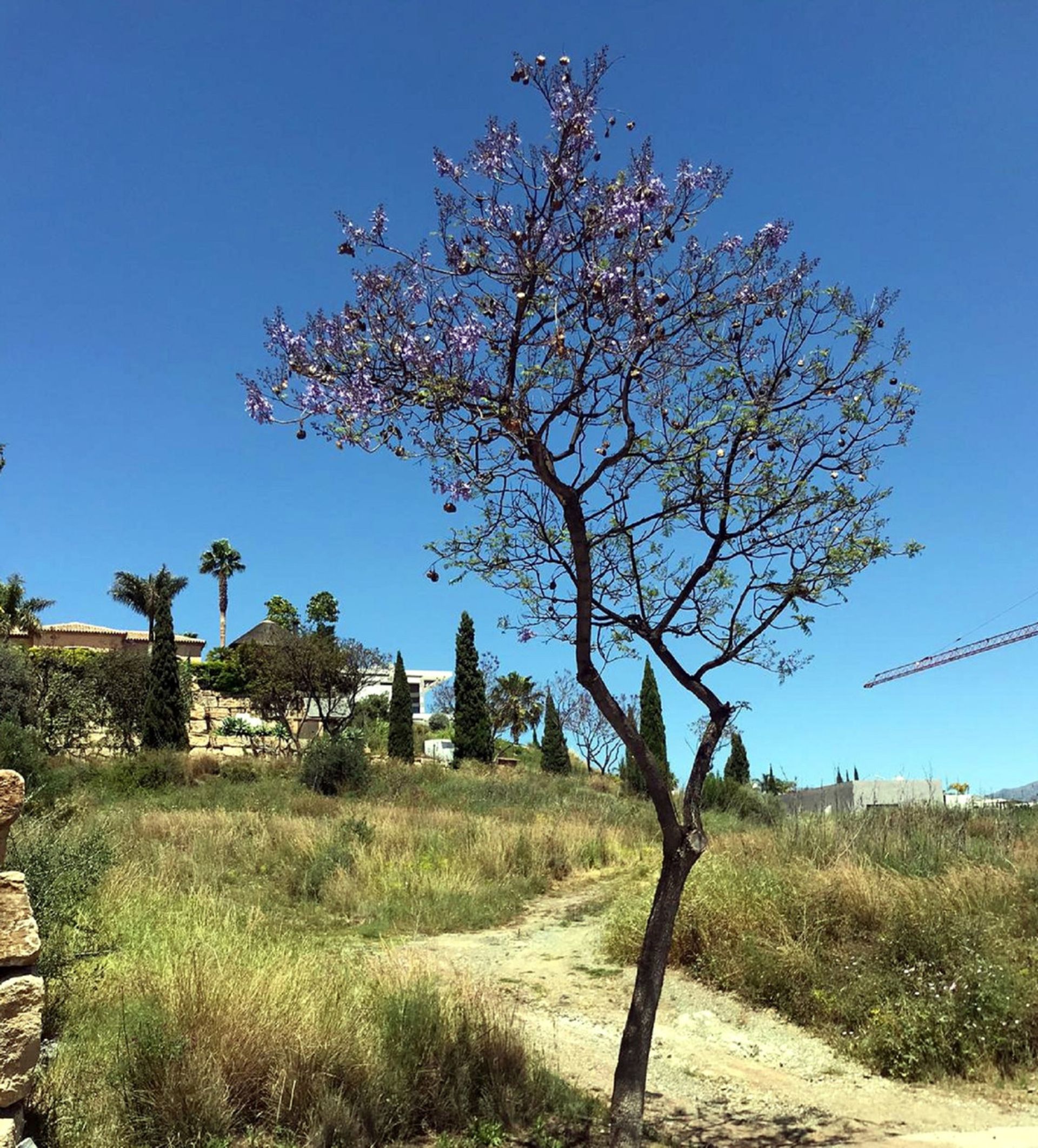 Land i Benahavis, Andalusia 10718996