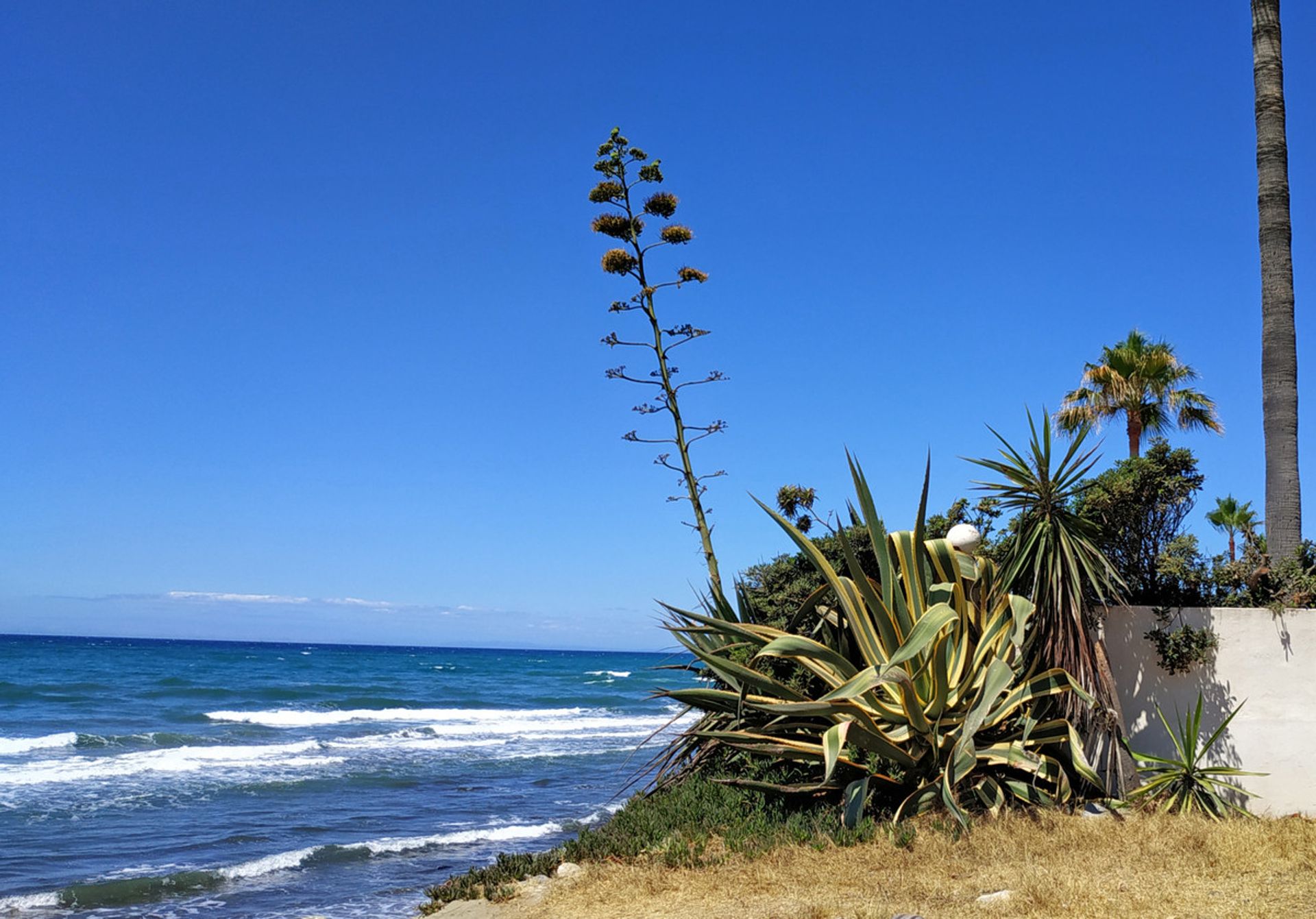 Tanah di Ojen, Andalusia 10719062