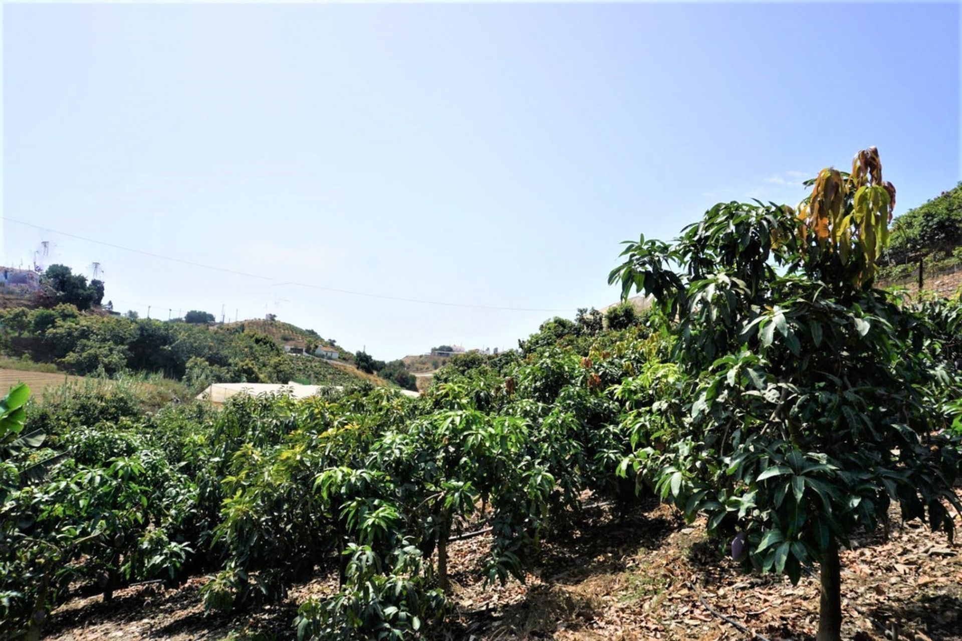 Land in Vélez-Málaga, Andalucía 10719253