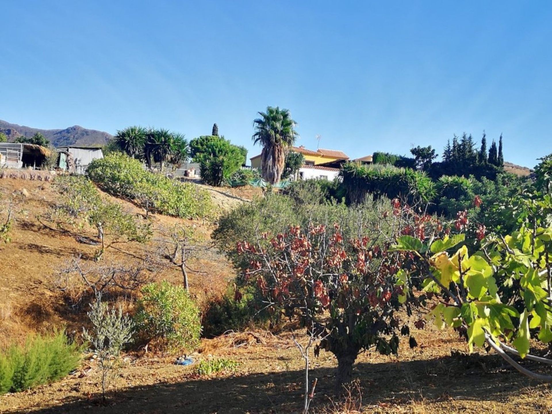 Huis in Vinuela, Andalusië 10719254